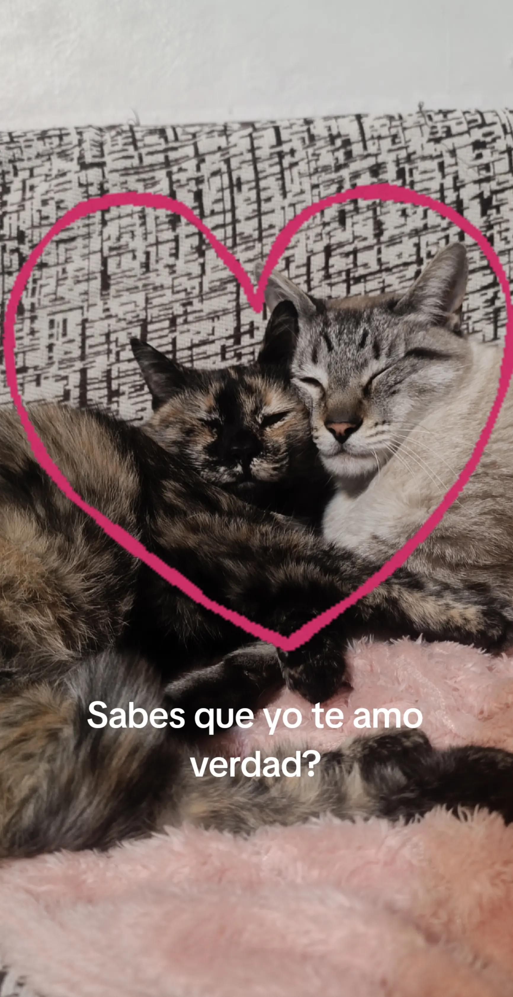 @Androidoko67
