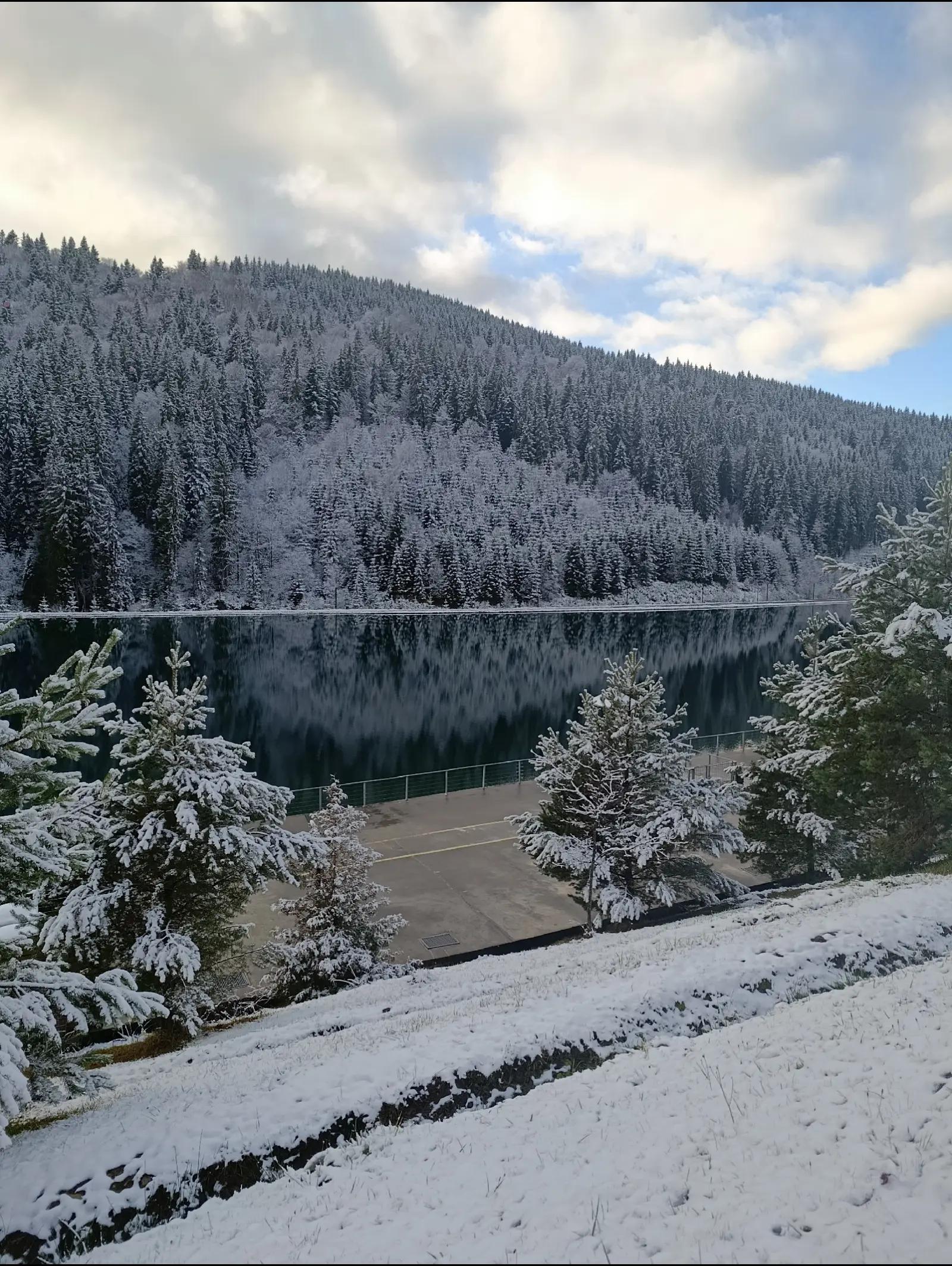 @❄️winter⛷️