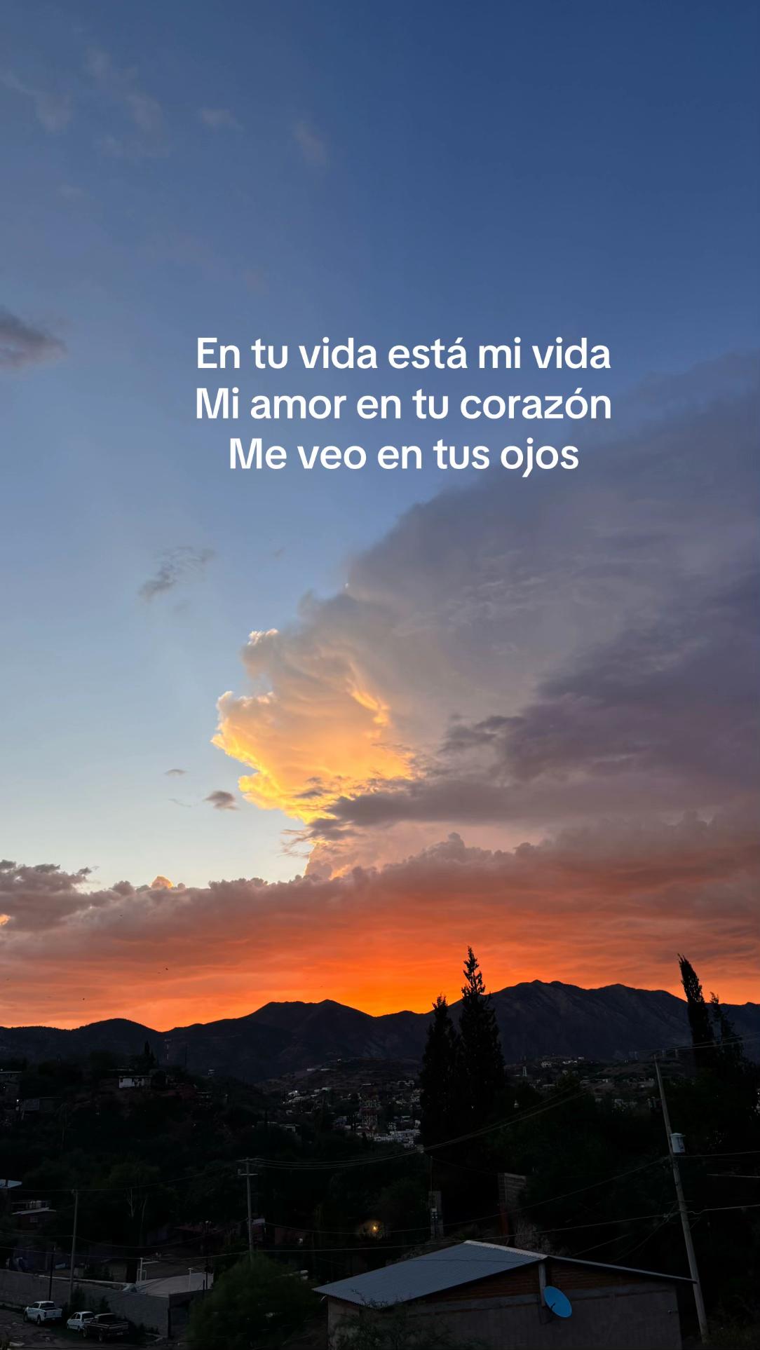 @yarelicl🩶