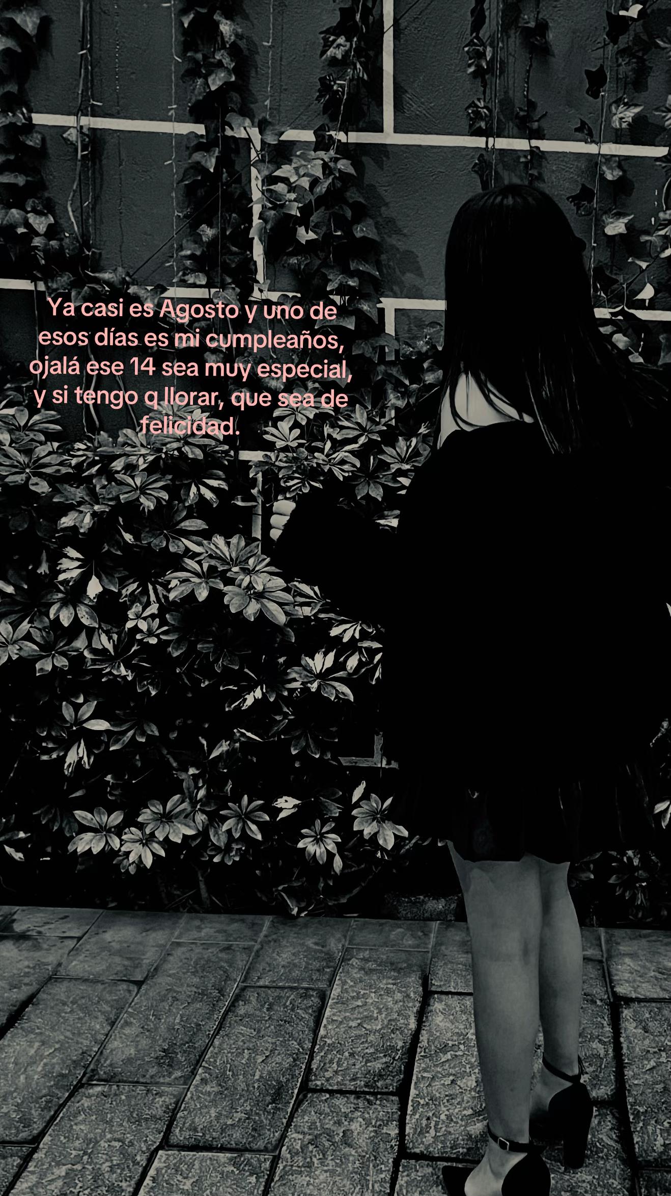 @ᥫ᭡