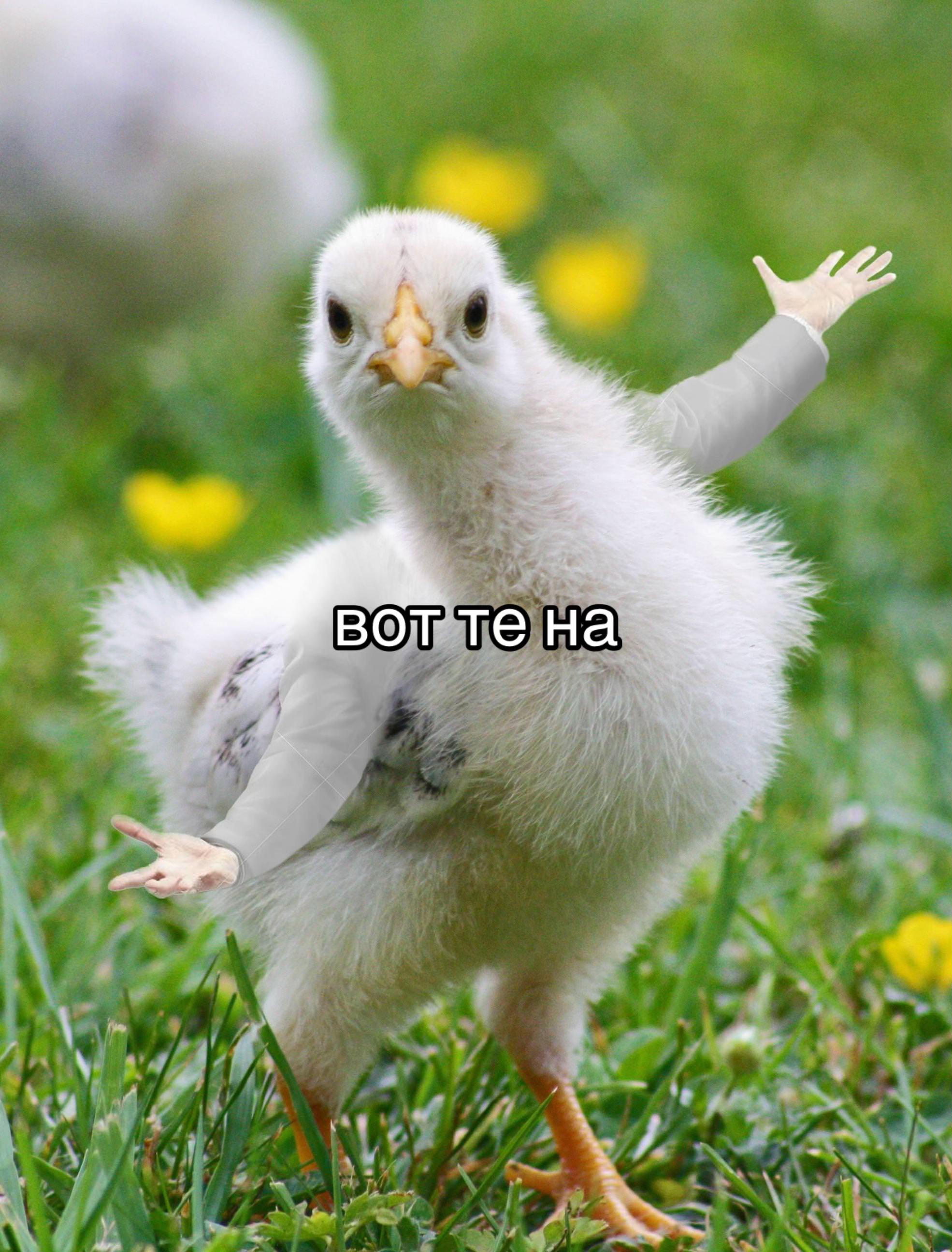 @exculs