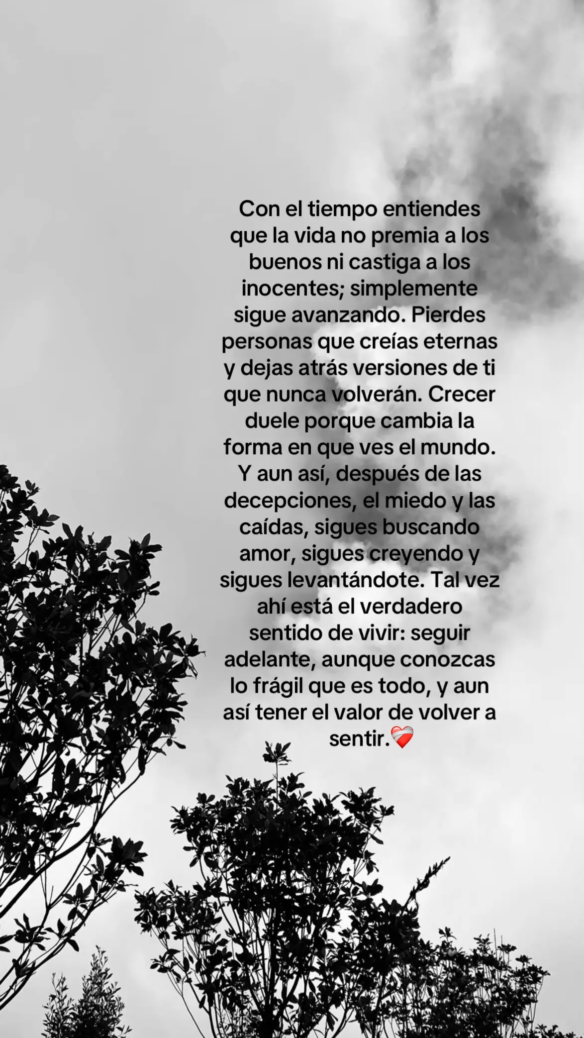 @𝓛𝓲𝓵𝓮𝓮𝓱🕷🖤