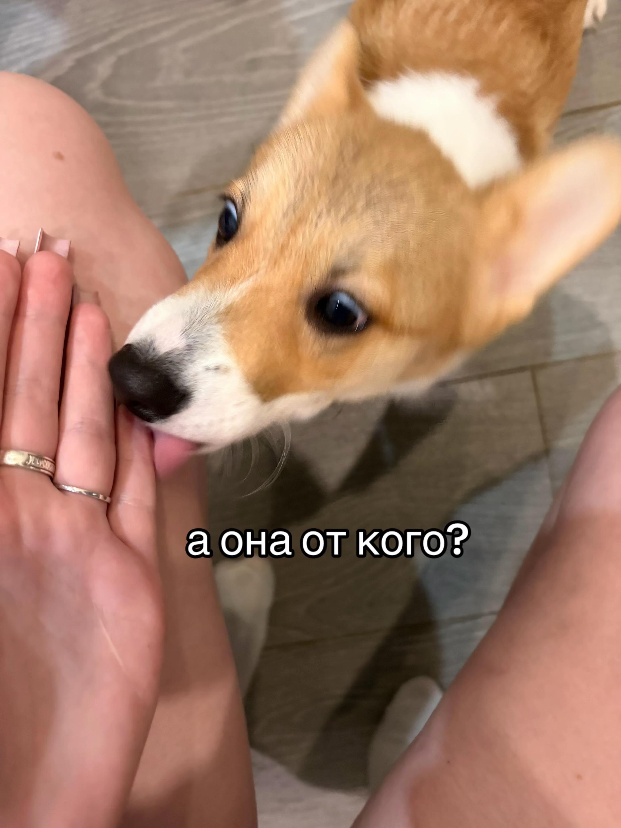 @ксения