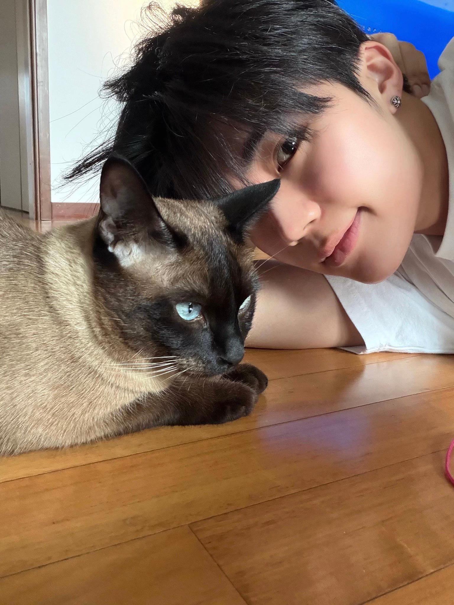 @tiramisukyu ๐จ