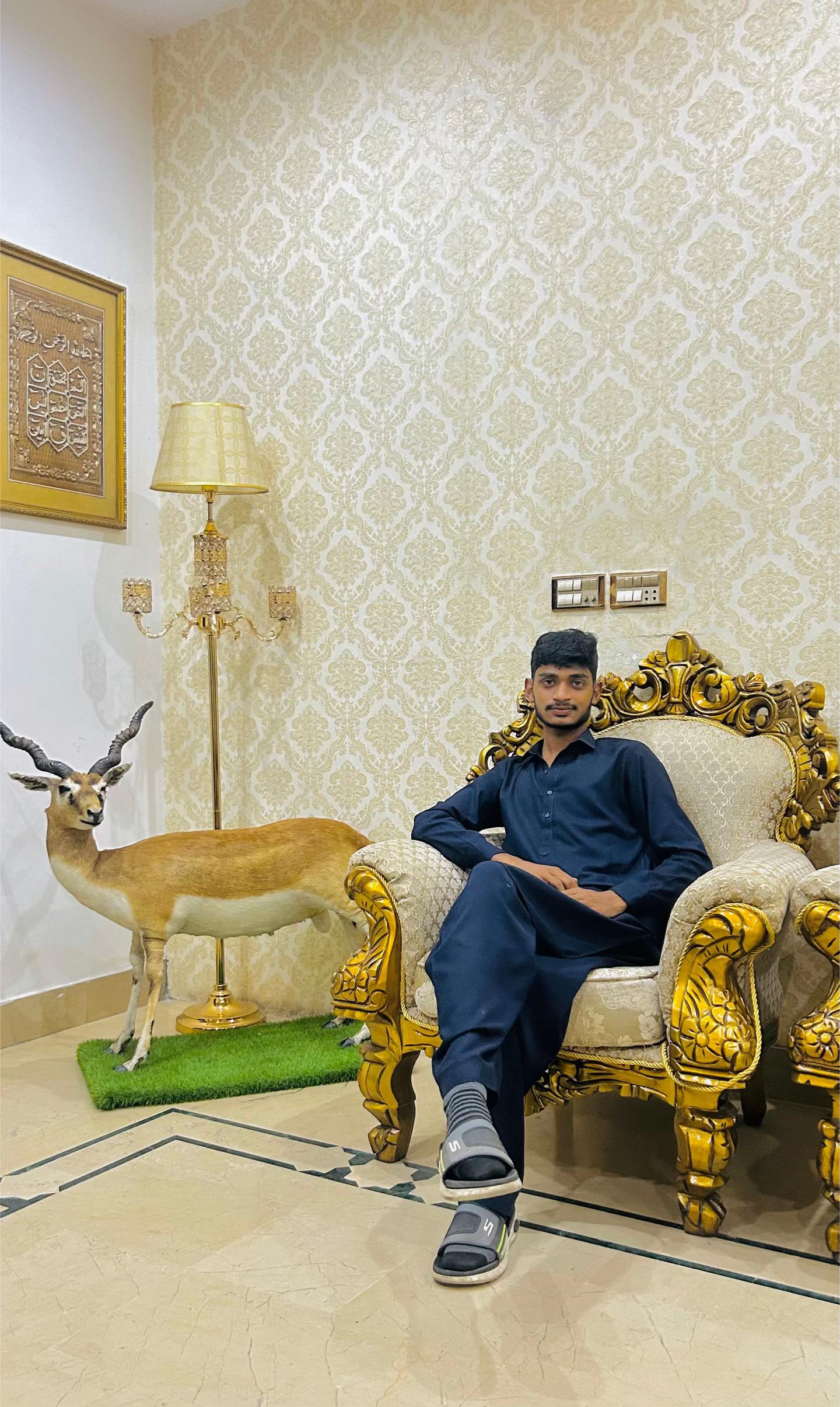 @Hassnain Rajpoot