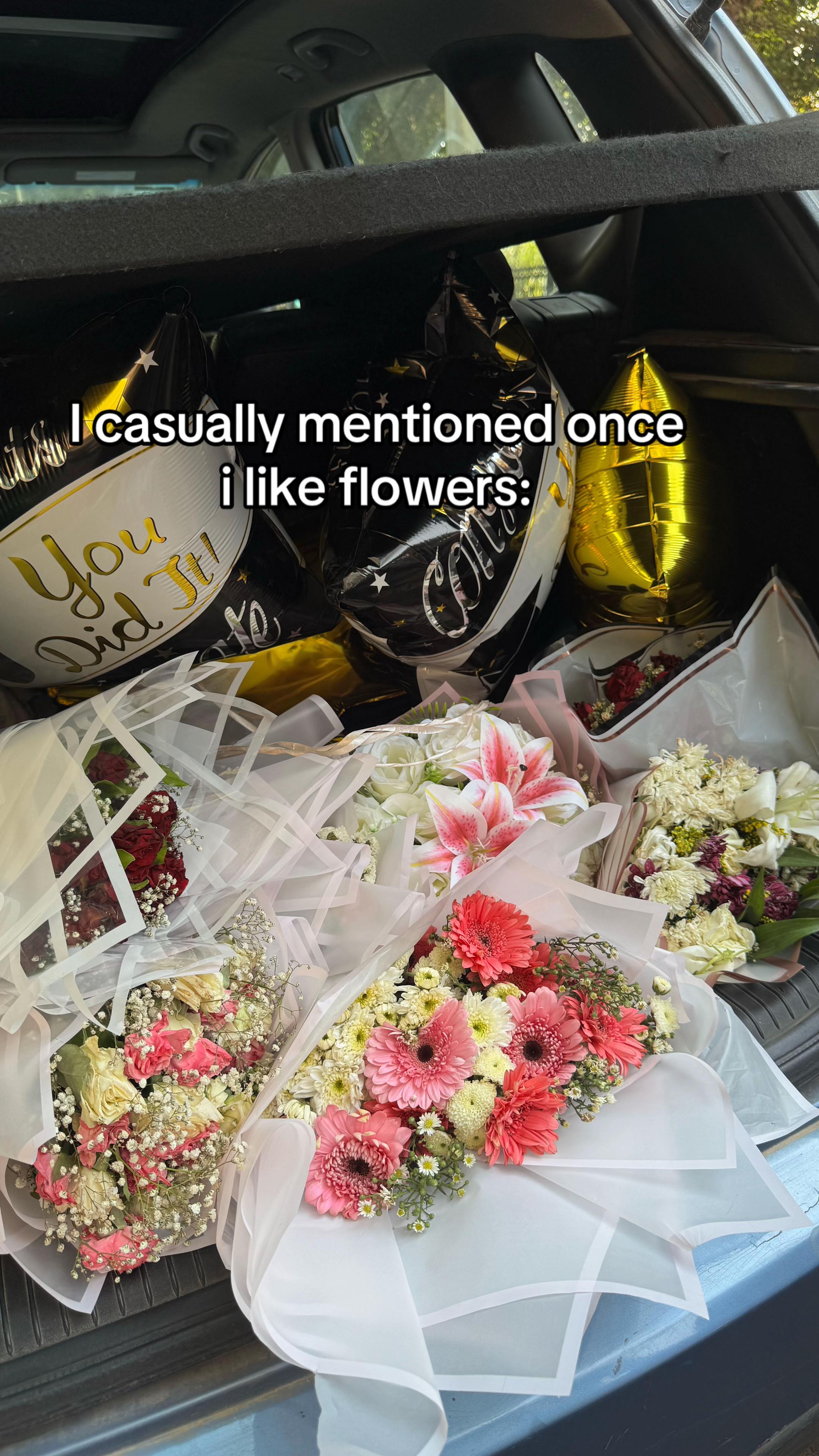 @rody-elsawy