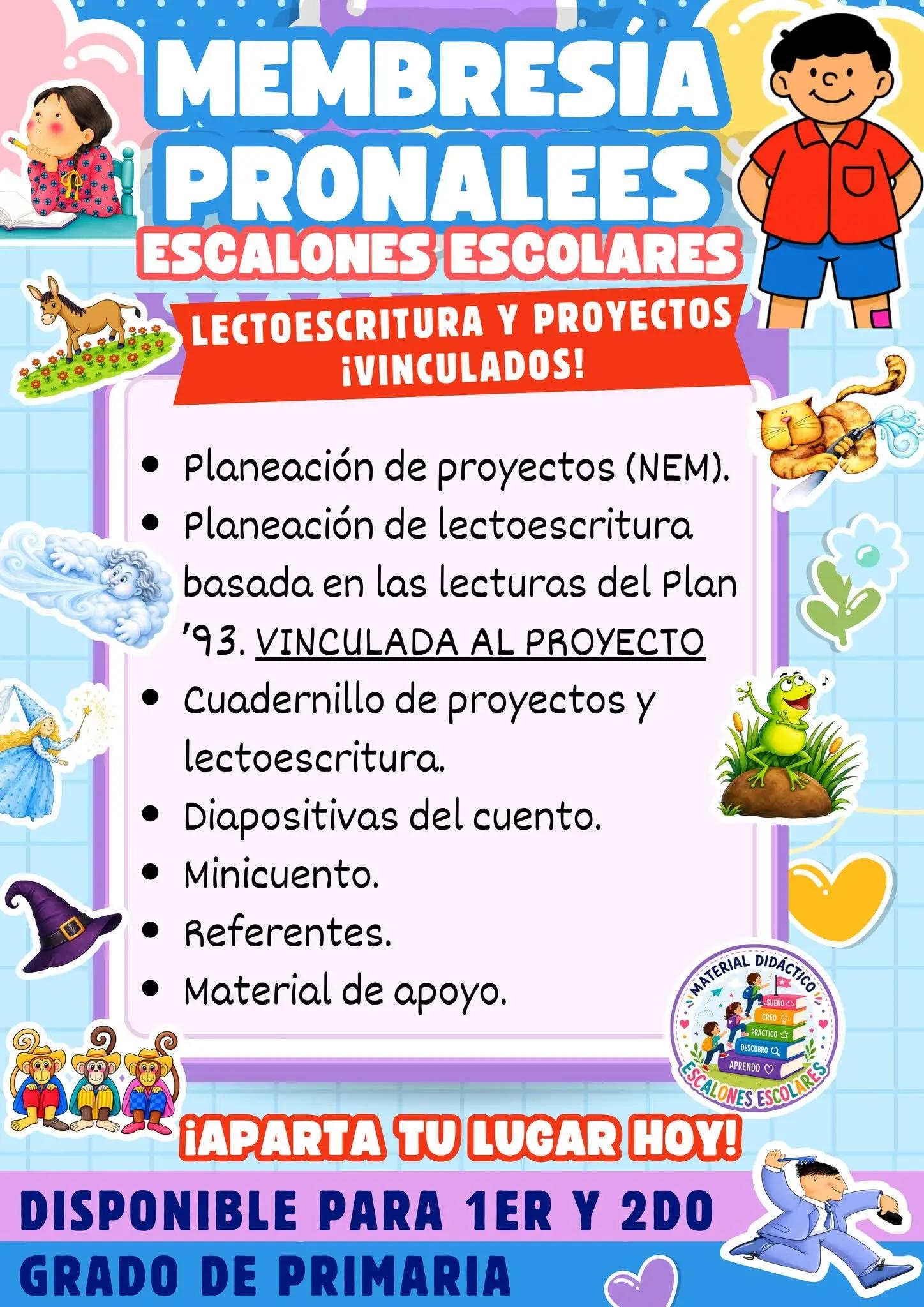 @Material Escalones Escolares