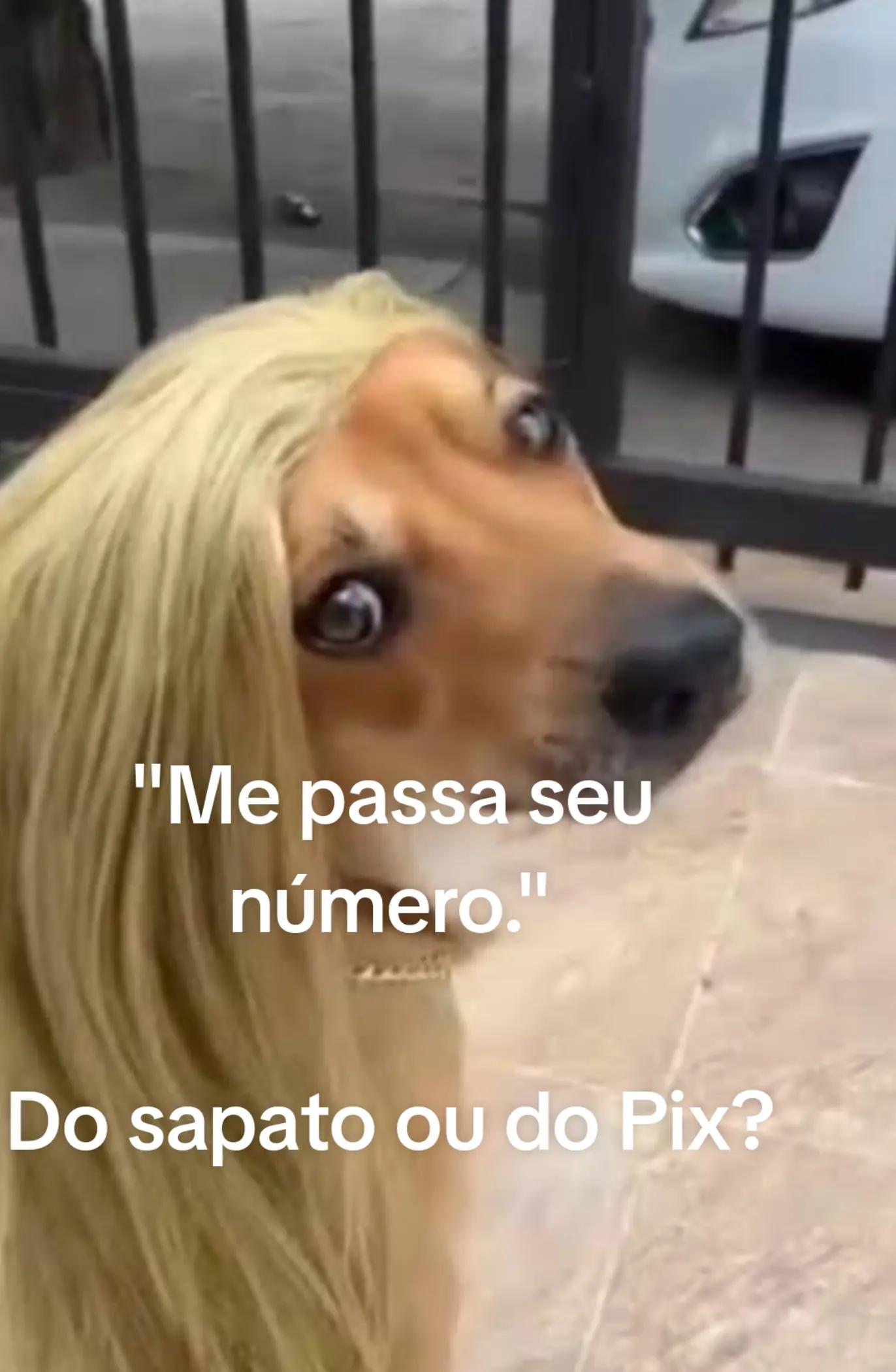 @Eliane Souza