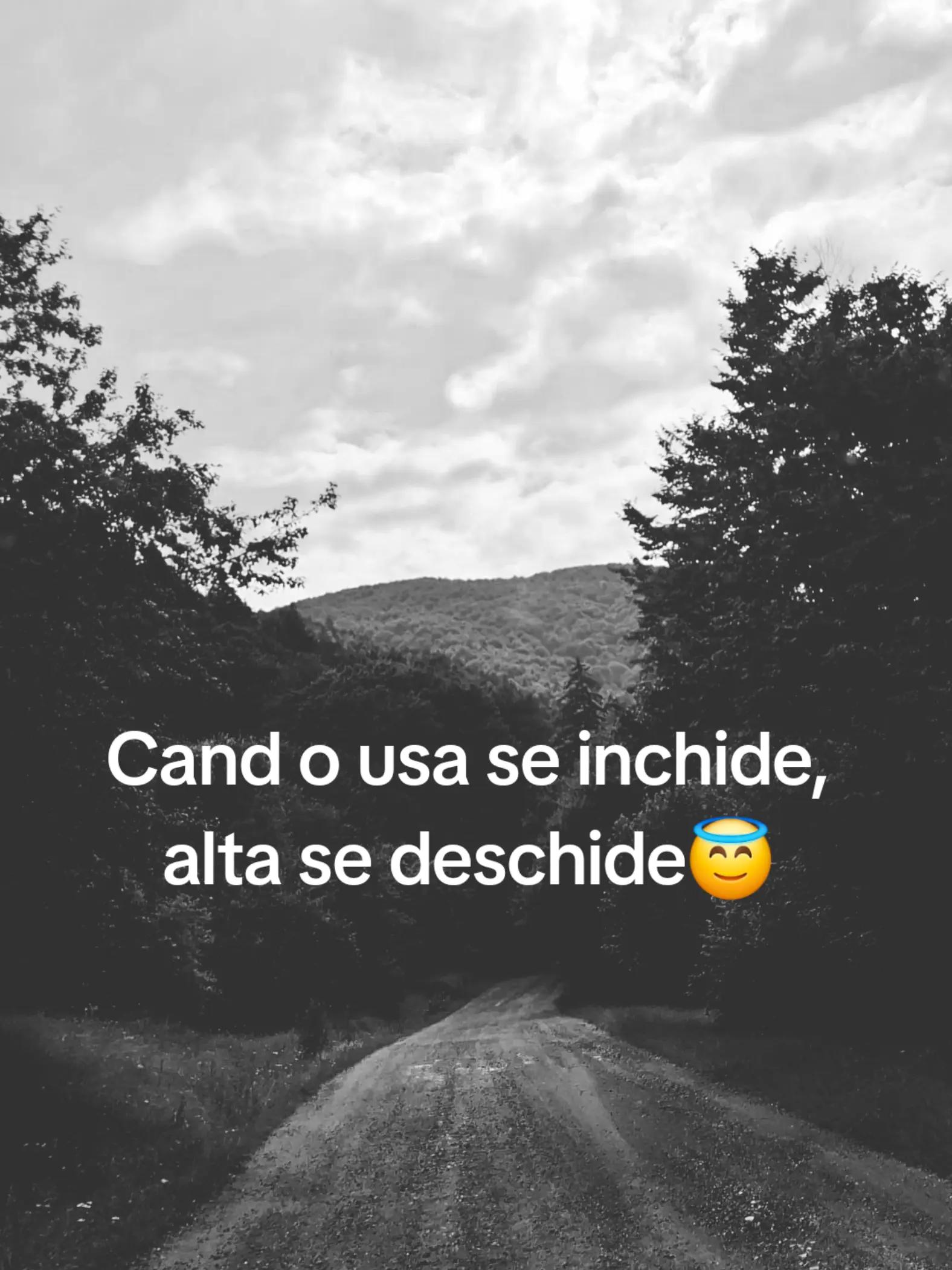 @Ruxandra Dutu