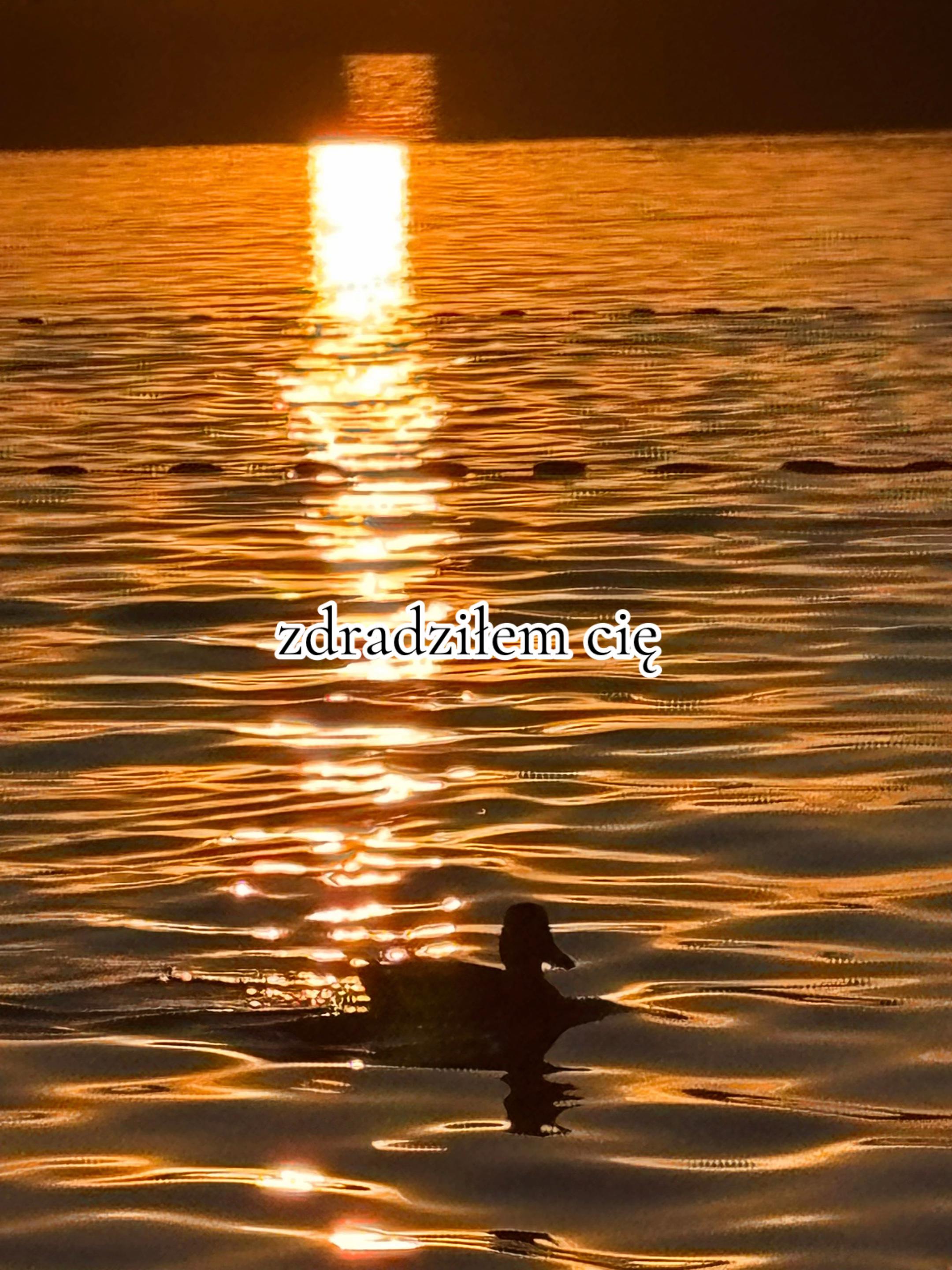 @Zuza 🤟🤍💙