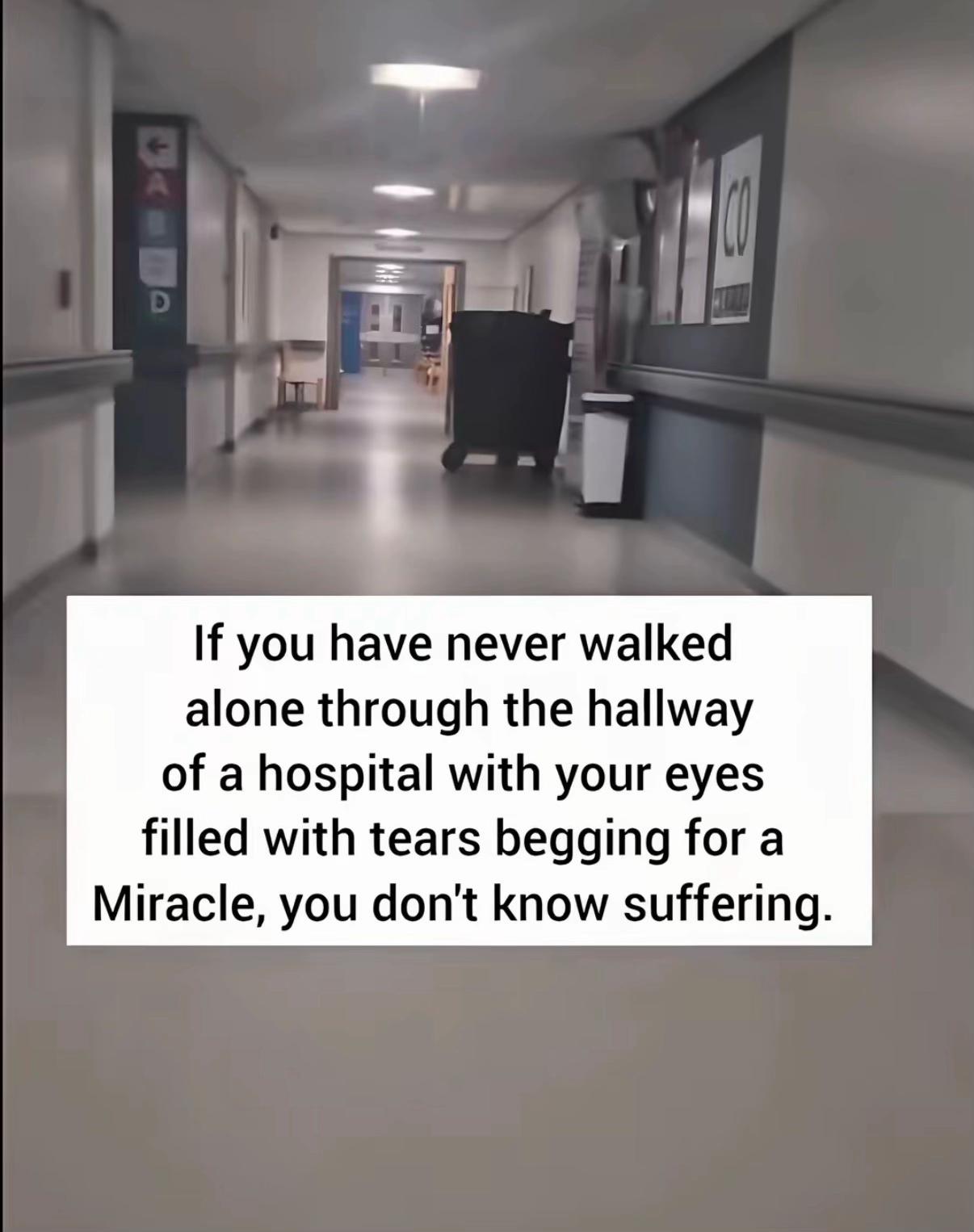 @thequoteking7