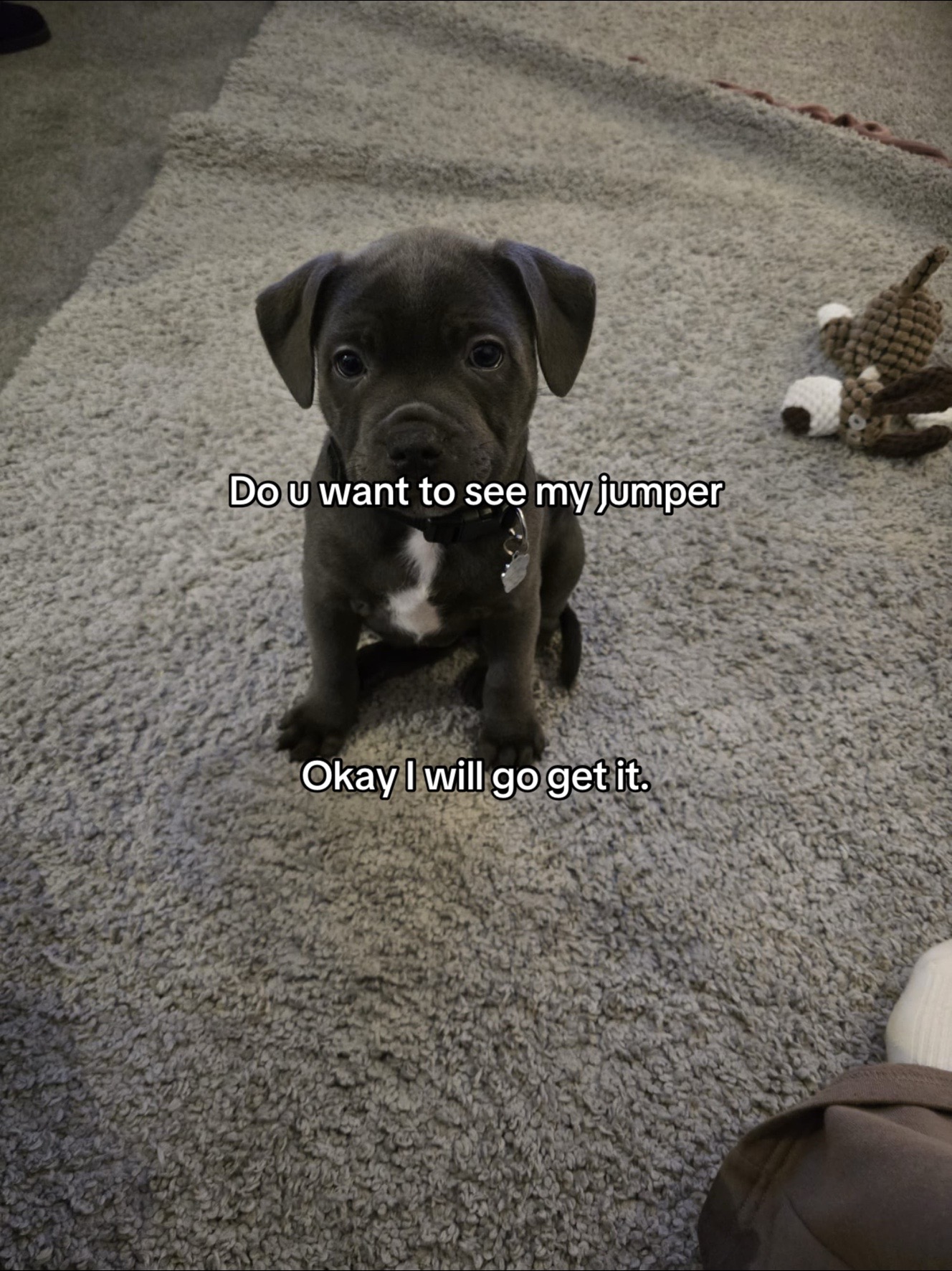 @𝕆𝕕𝕚𝕟🐾