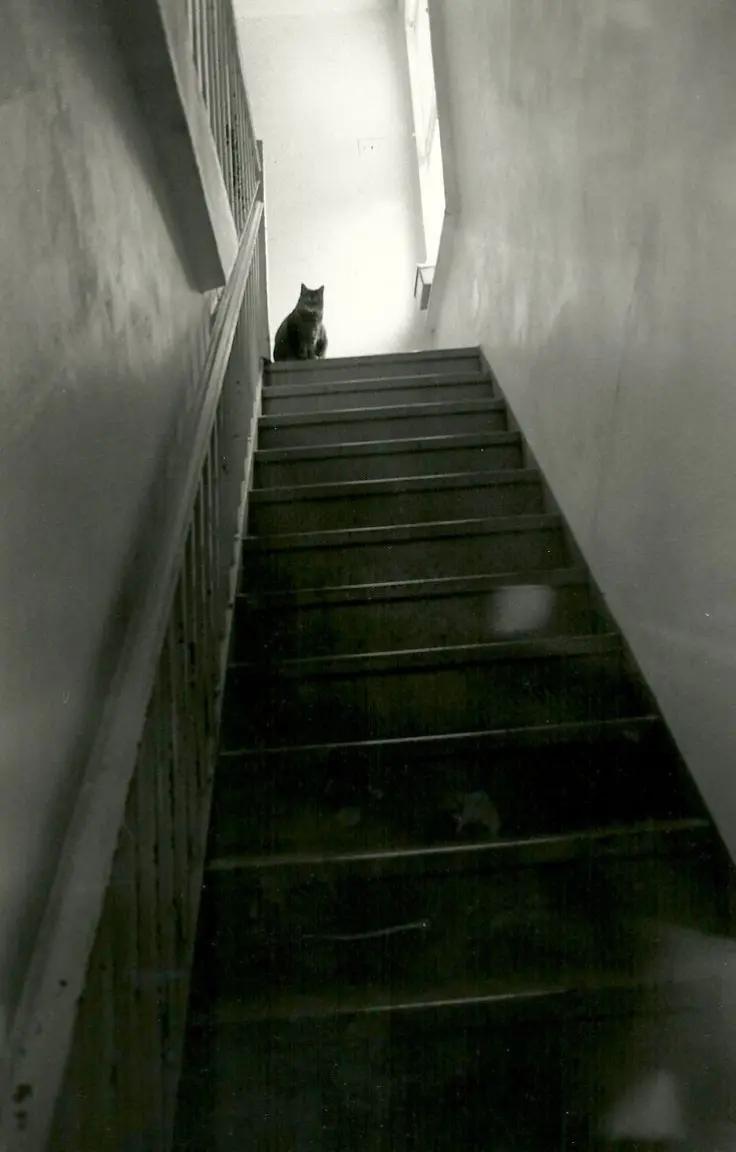 @۠۠۠