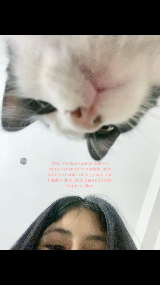 @🧸