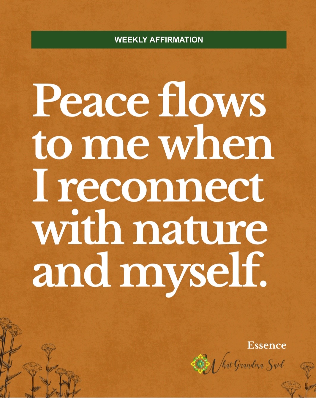 @Essencetheherbalist