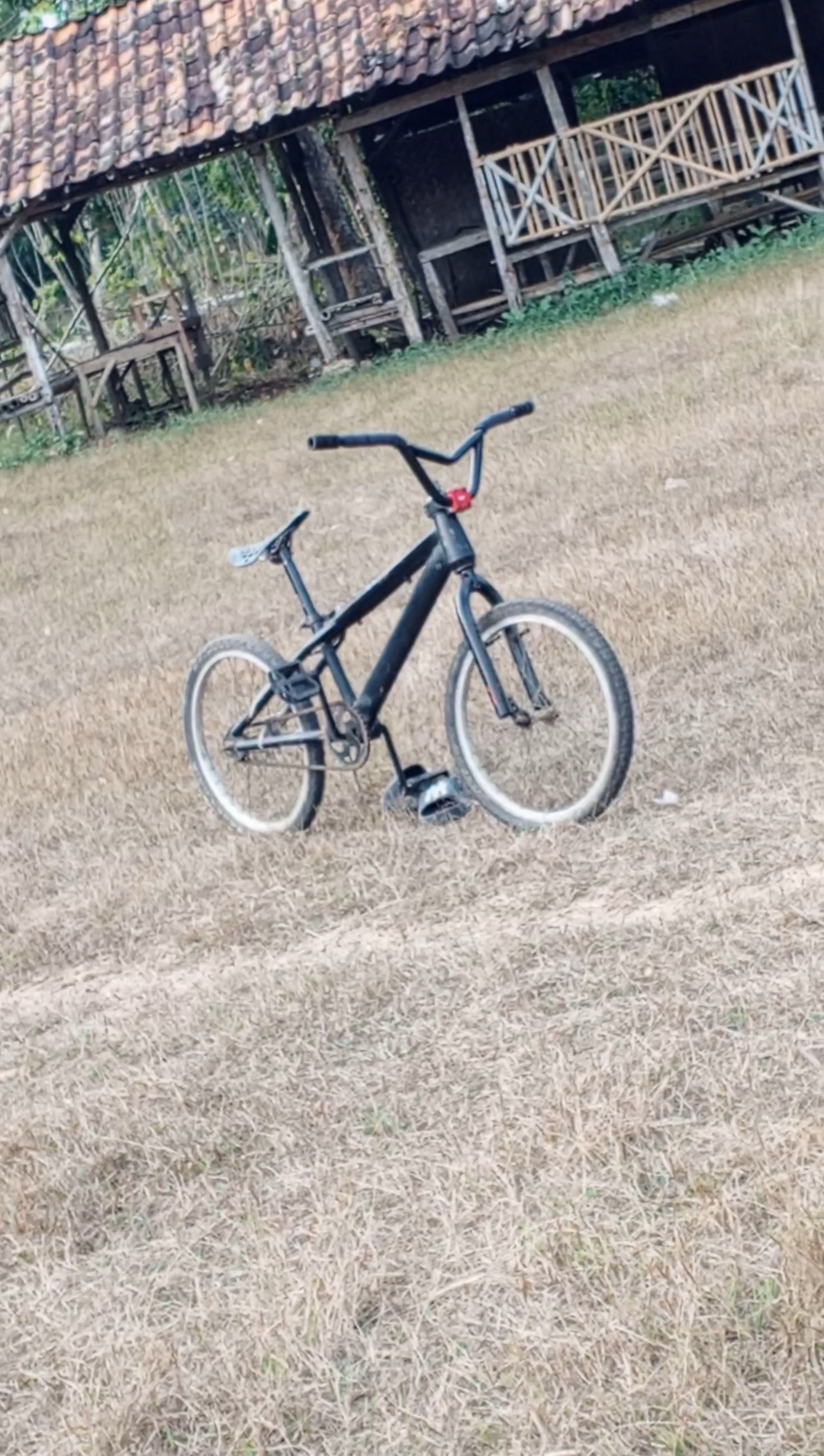 @𝗭𝗜𝗘𝗡𝗜𝗫 𝗦𝗨𝗞𝗔 𝗠𝗫