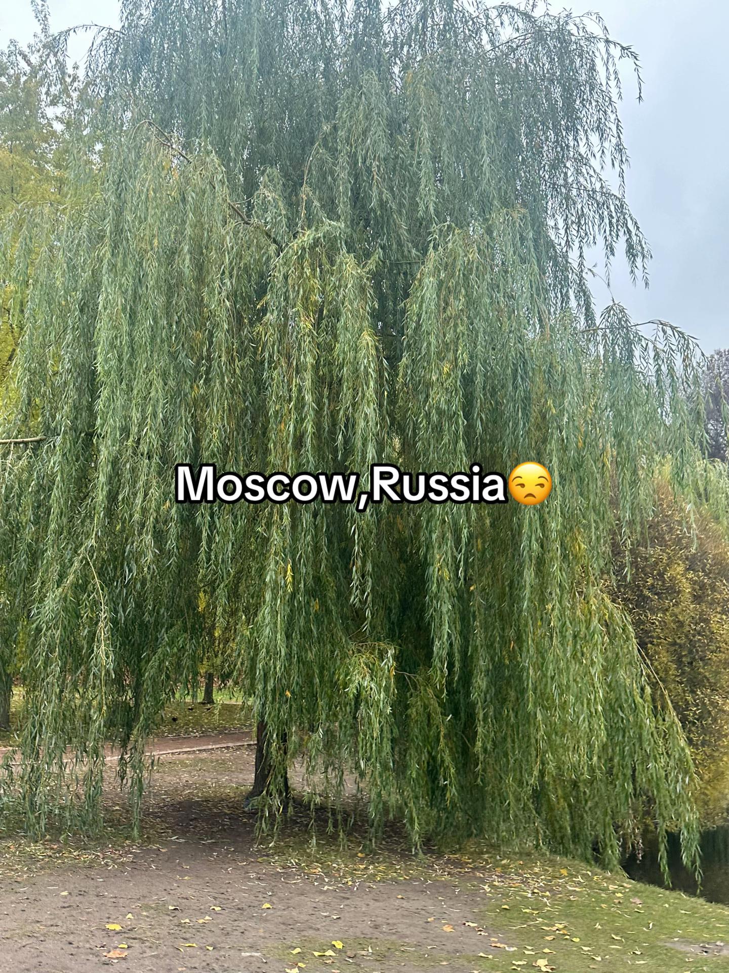 @vayo༄˖°.