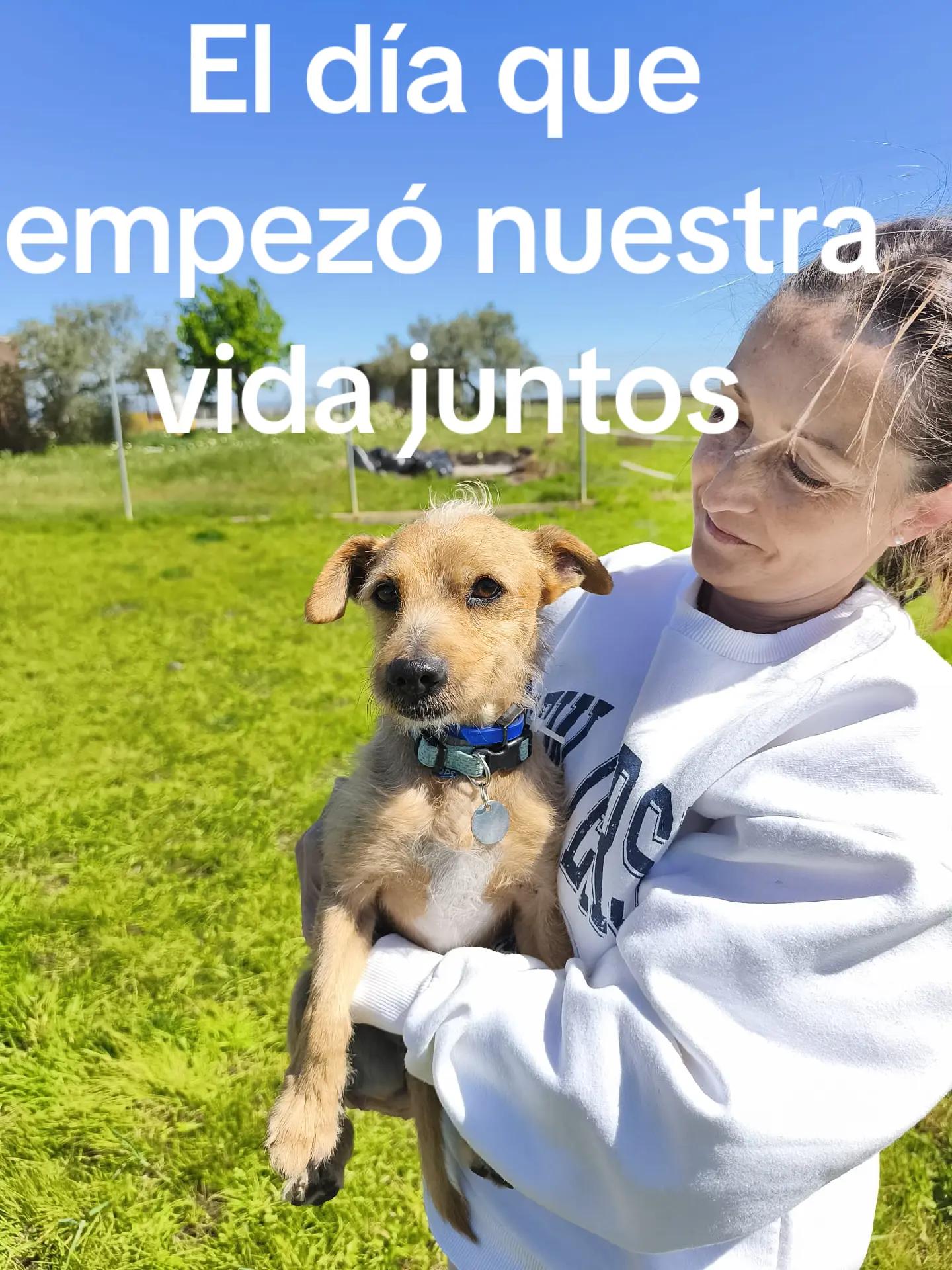 @nuribubi