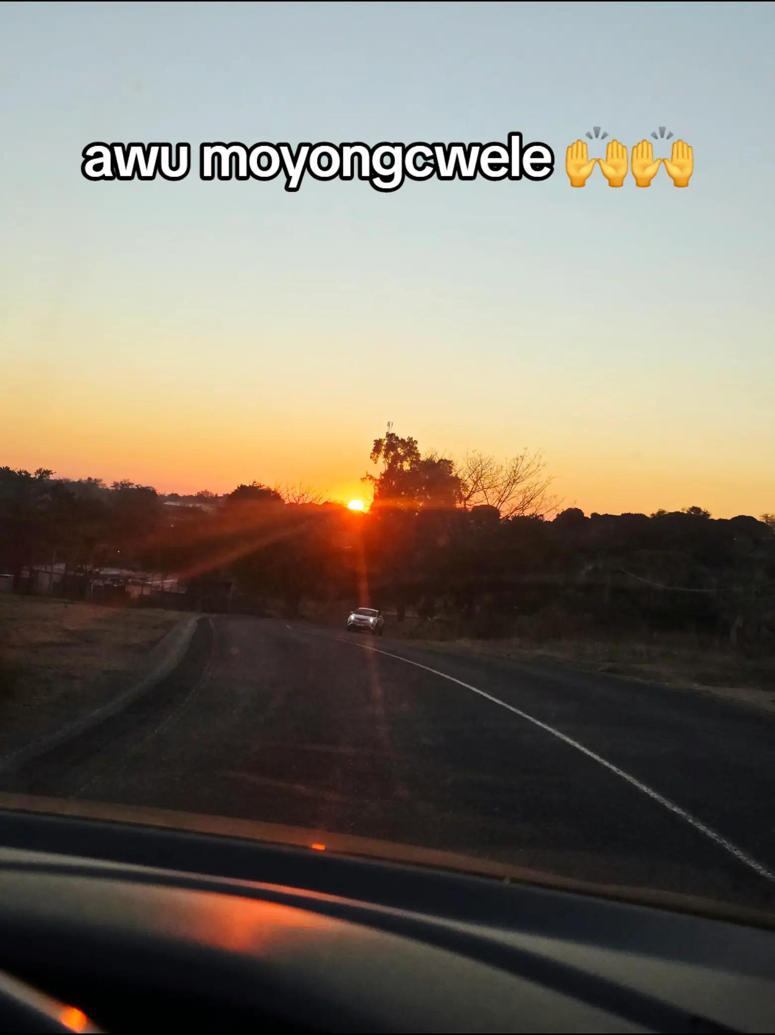 @fungilemabaso978