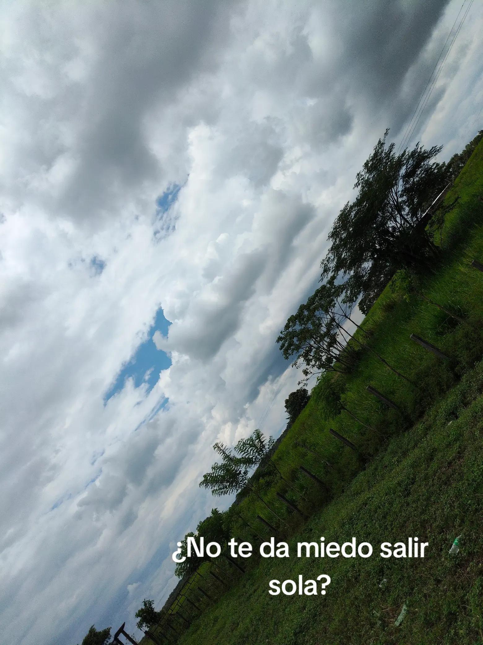 @🌻Ale🦋
