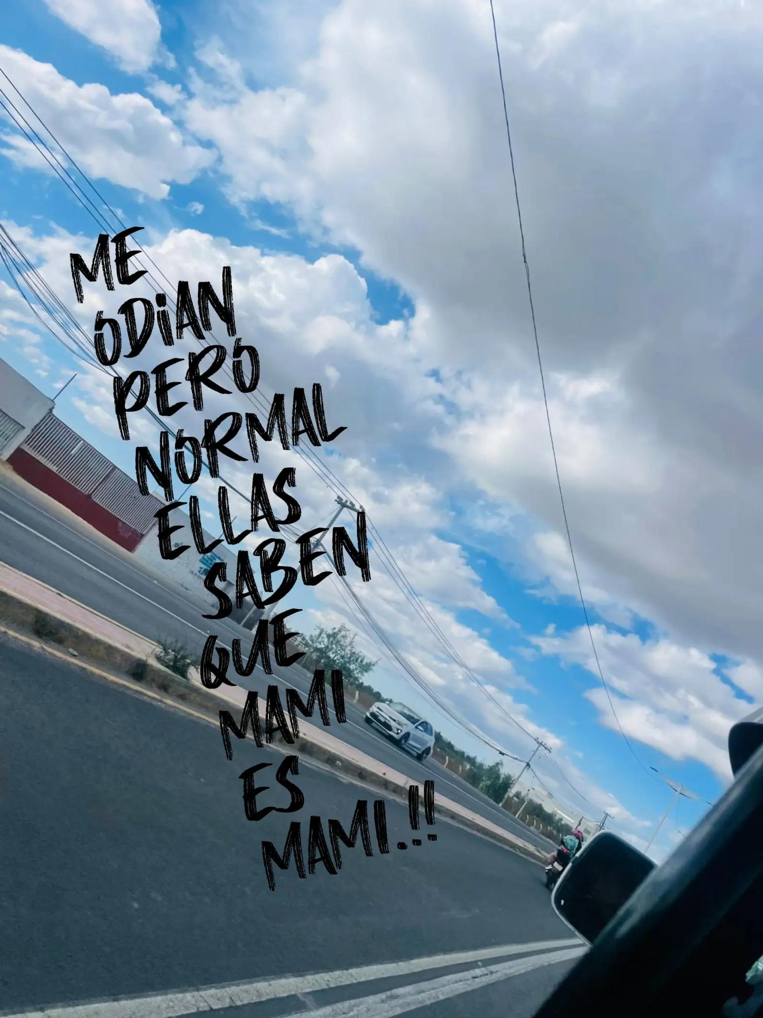 @Eilene Nieves