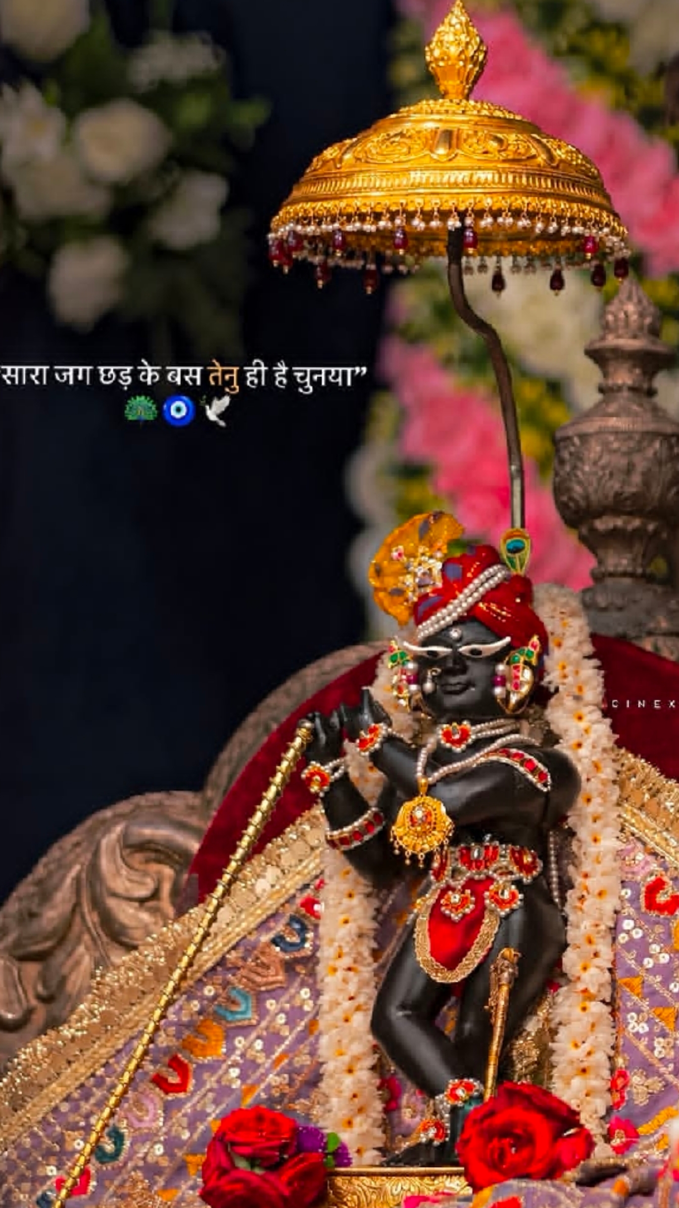 @🦚हरे कृष्ण (राधा❤️🪈)