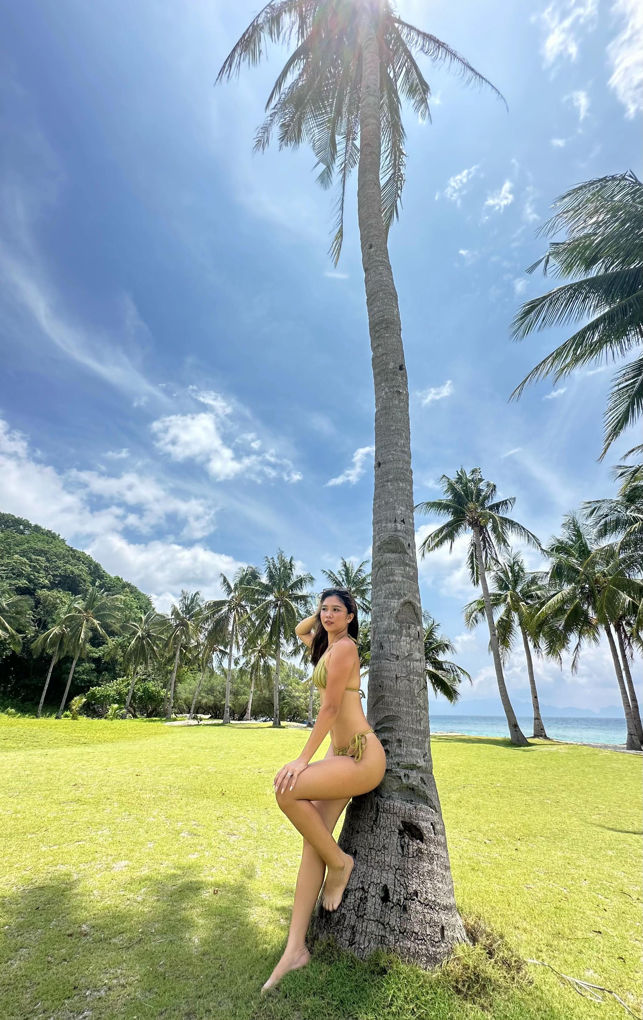 @yanyan.