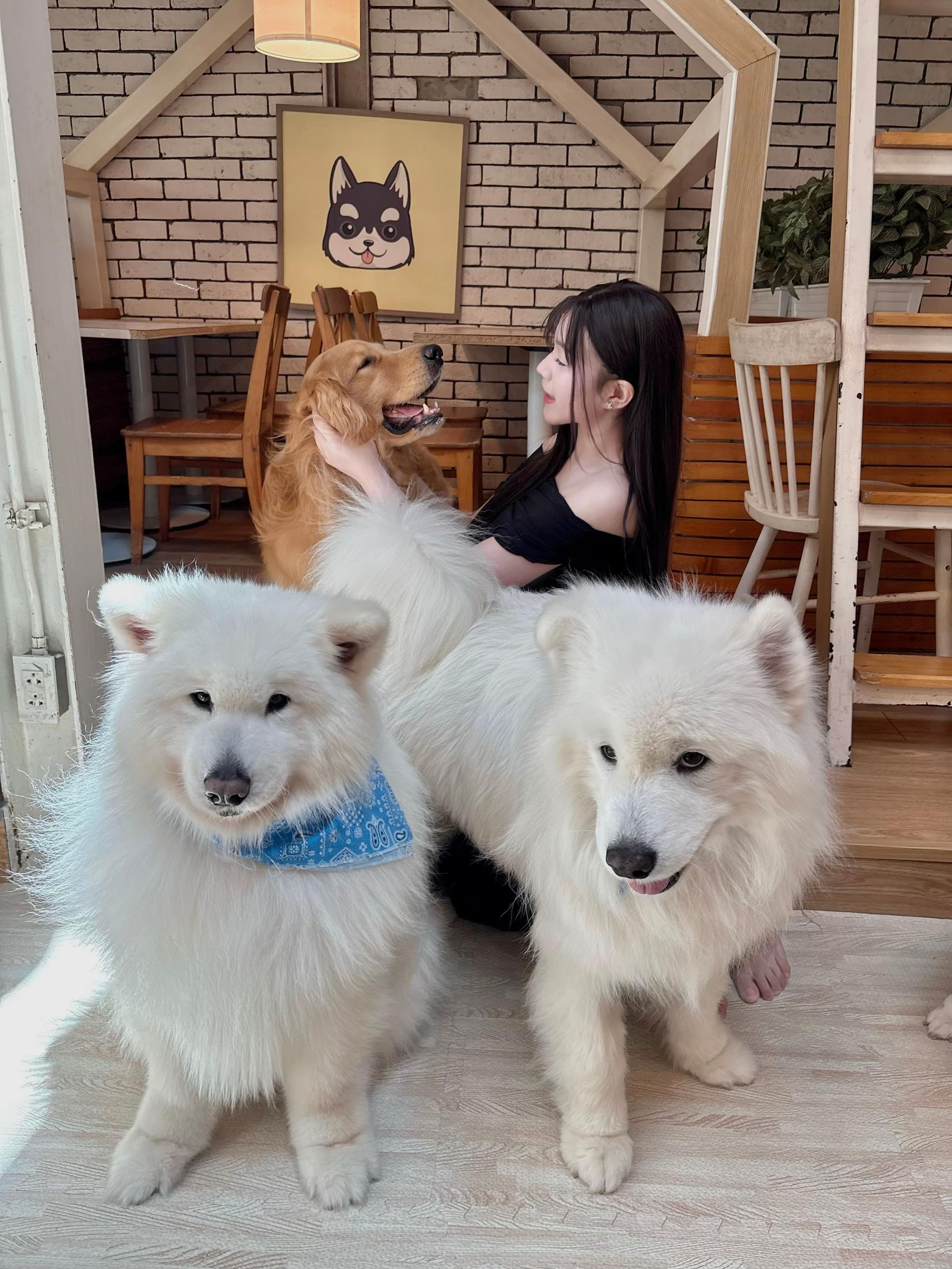 @bunnypinyin