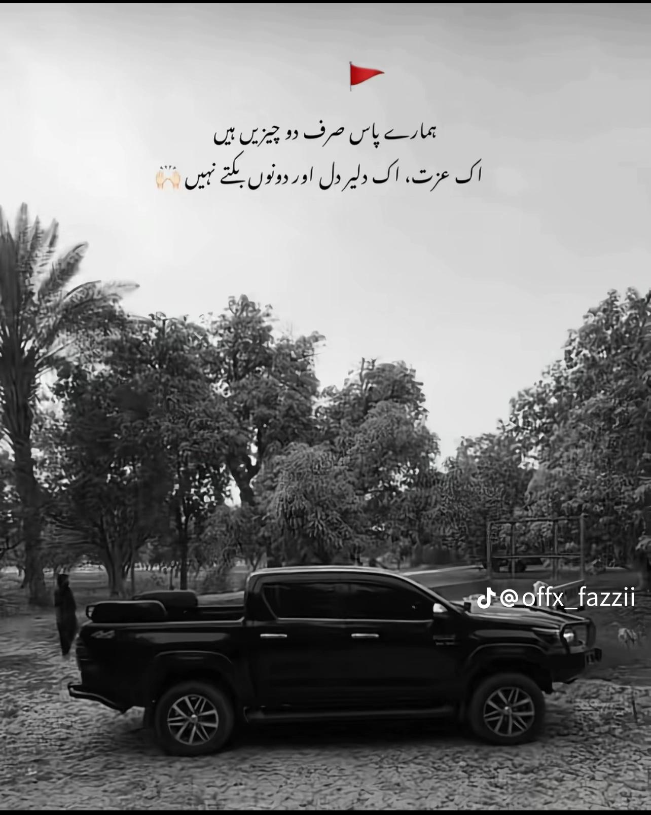 @Shaheer Jabbar