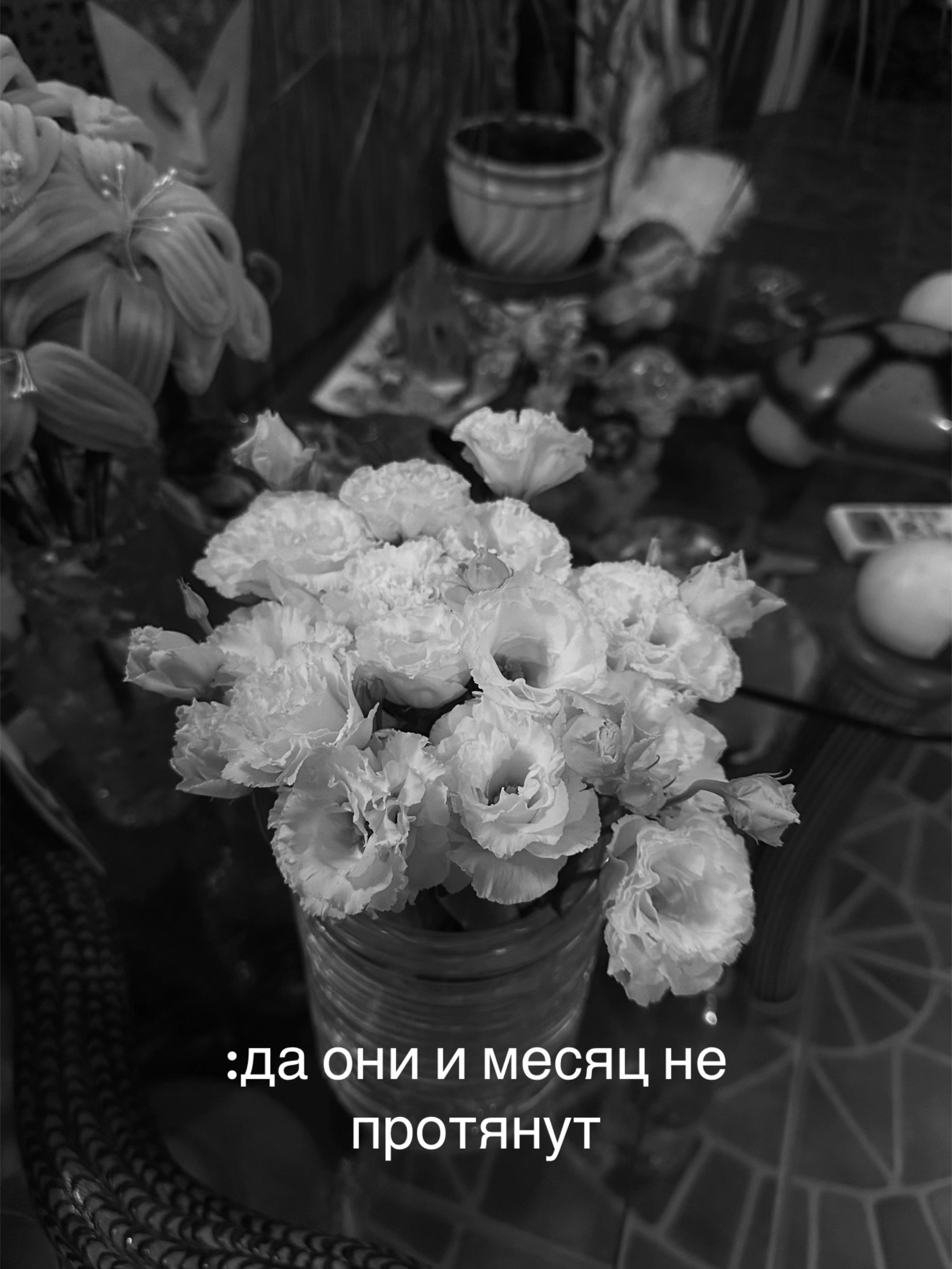 @аля🐦🔥