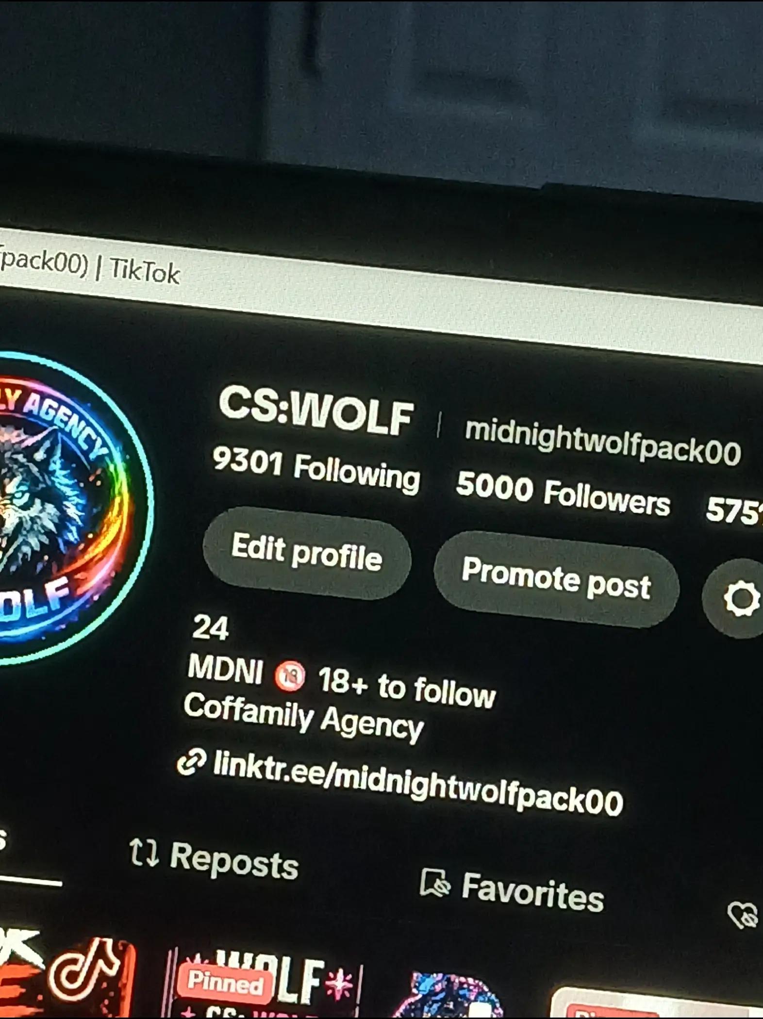 @CS:WOLF