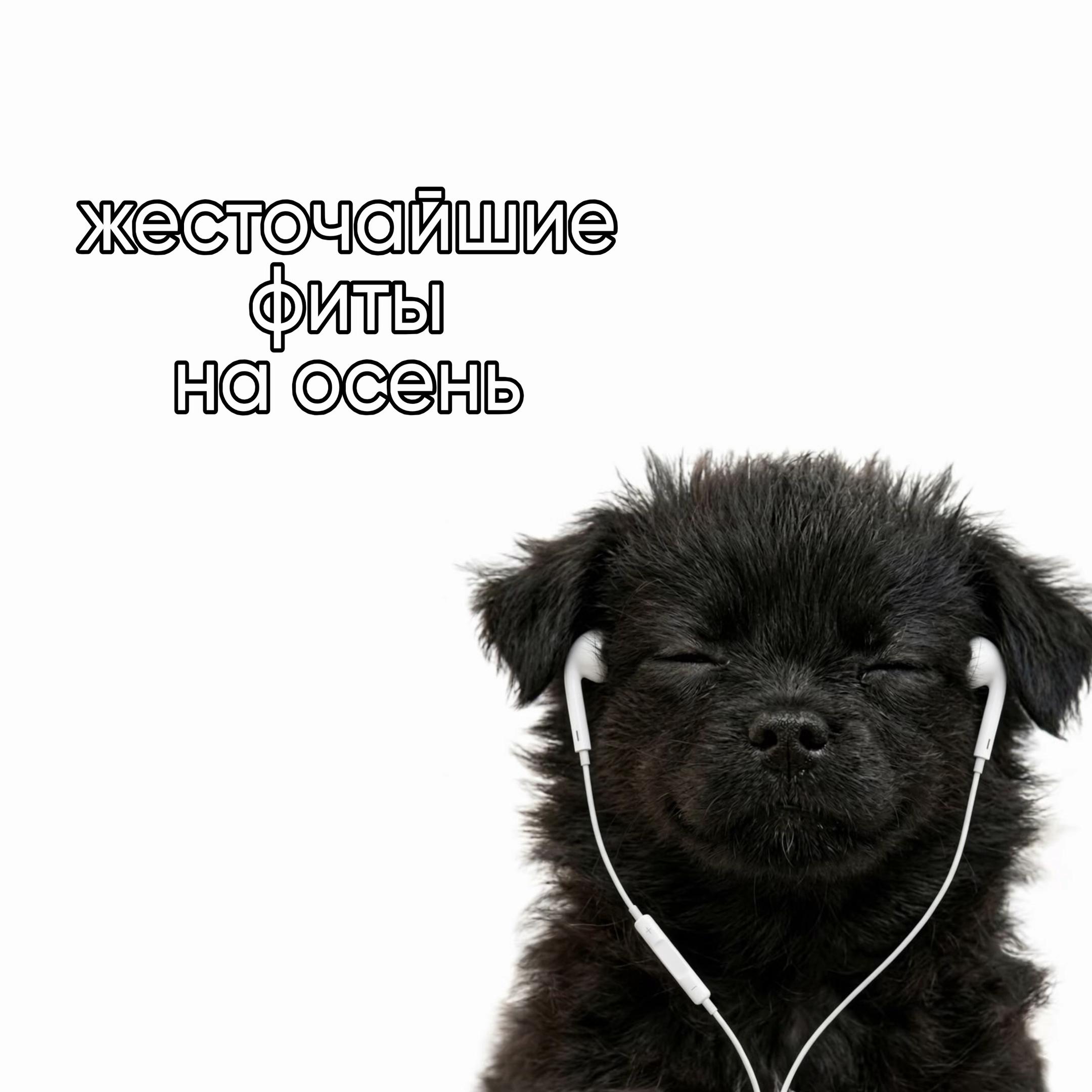 @gunin