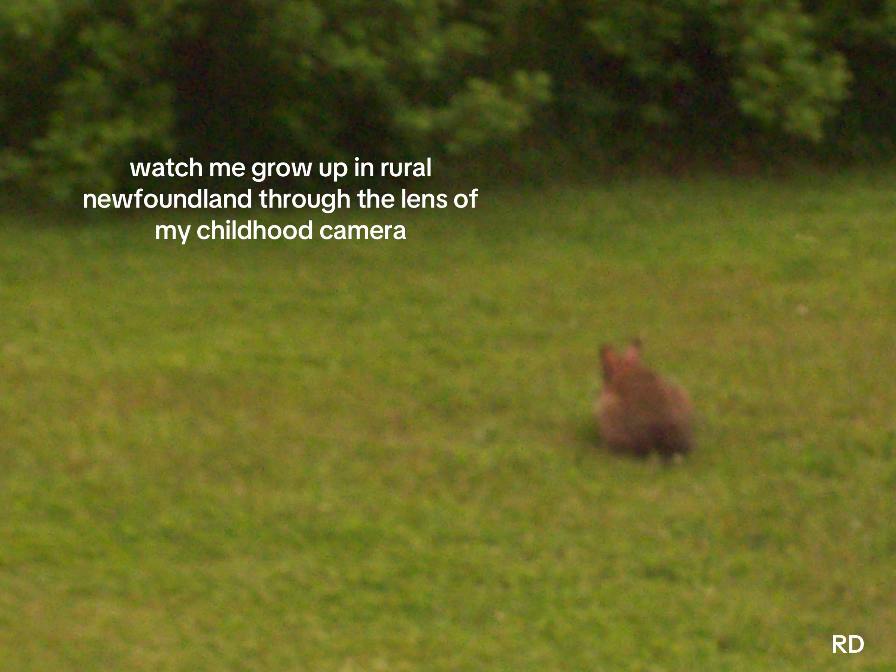 @jupiter the sixth