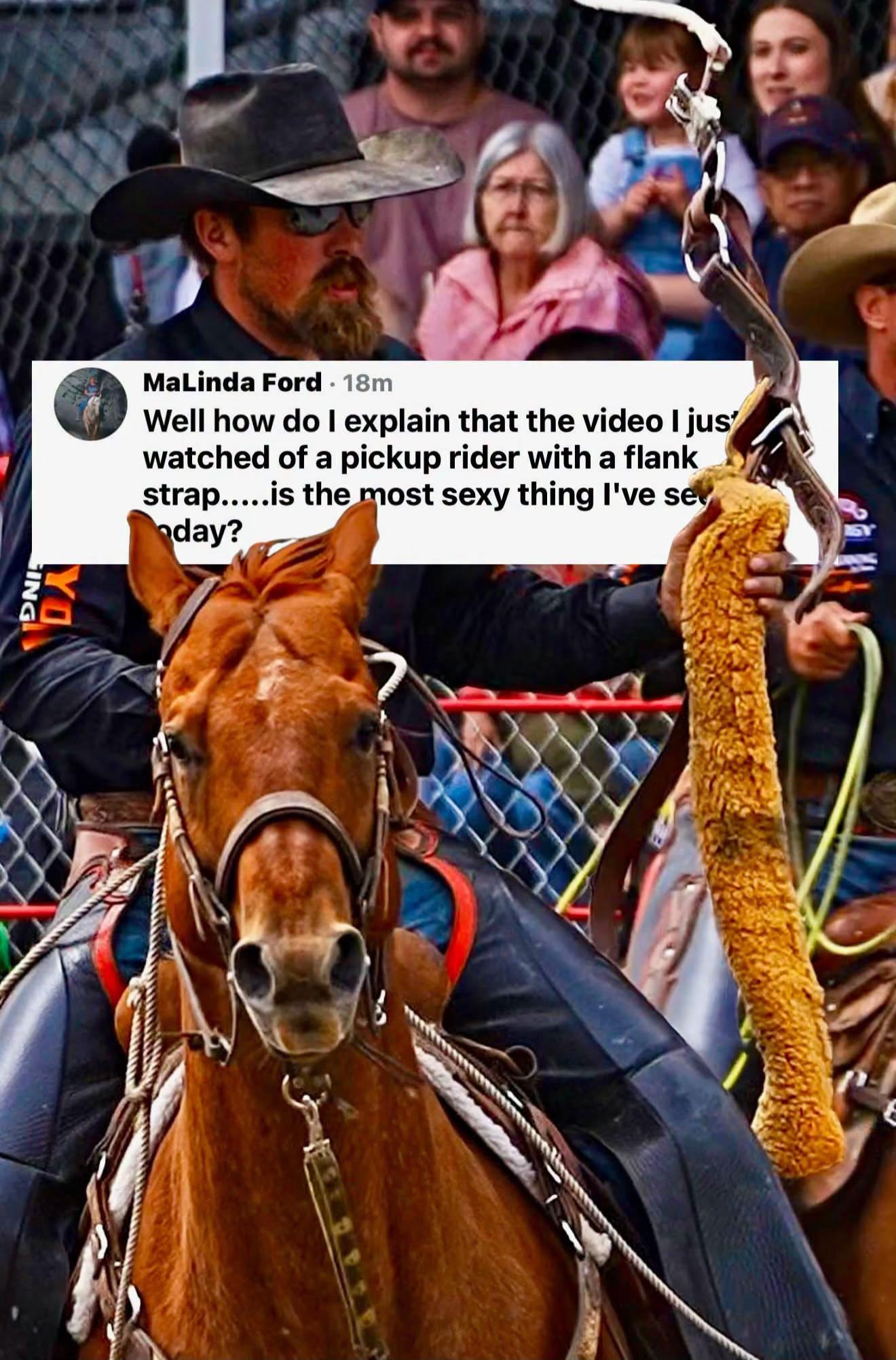 @Hanginghorses