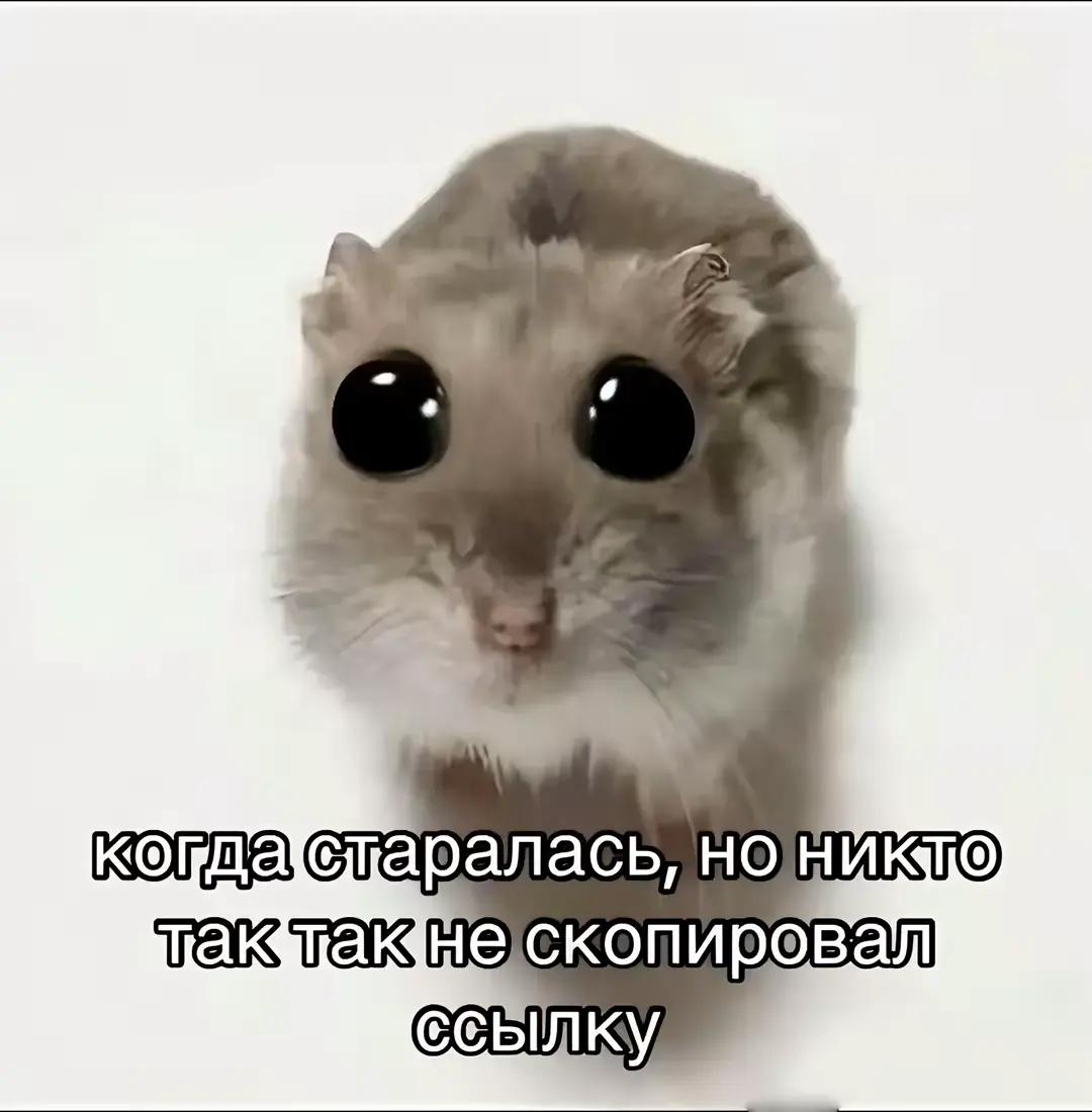 @nataha_drago_