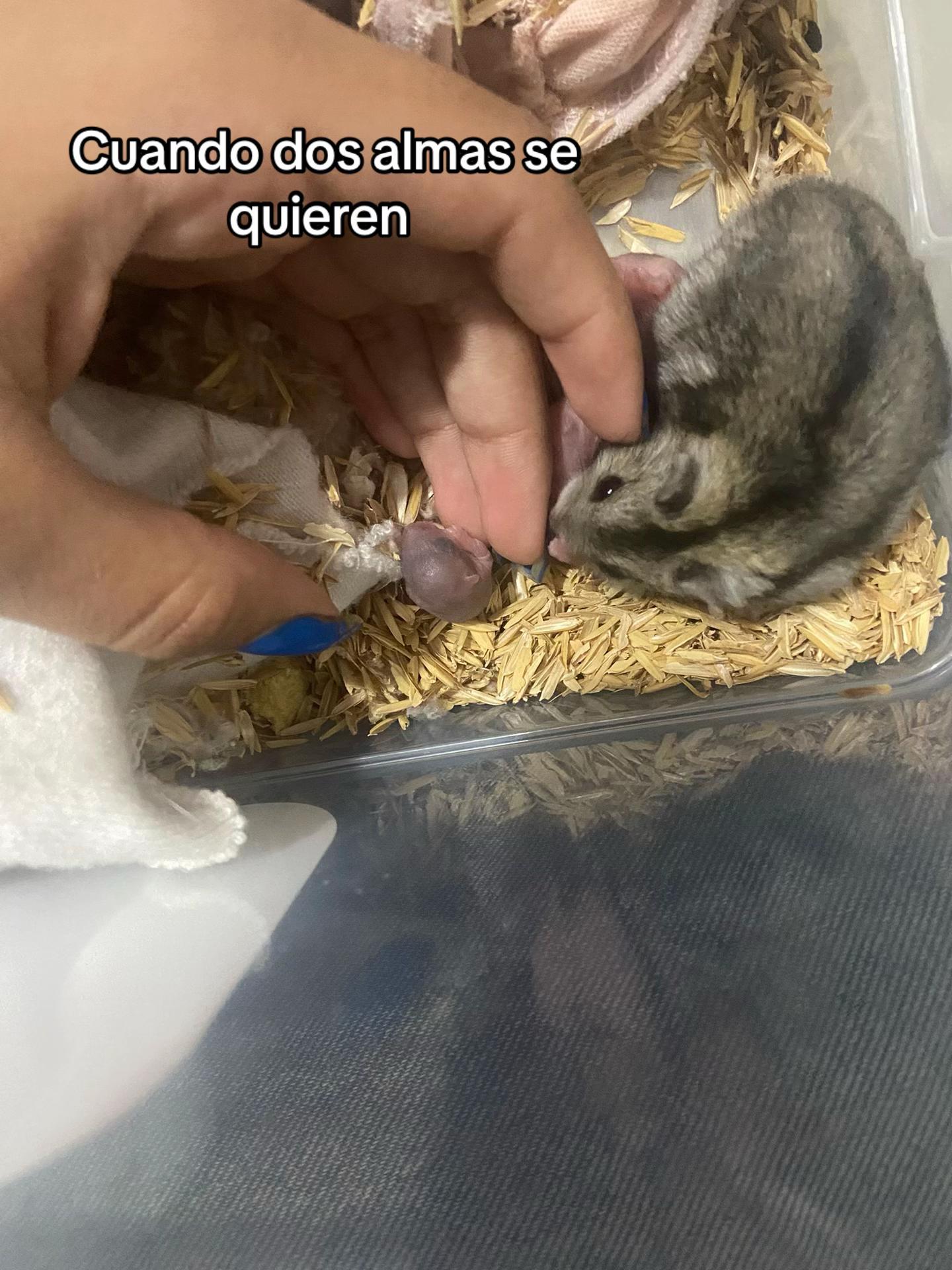 @Luisaaa