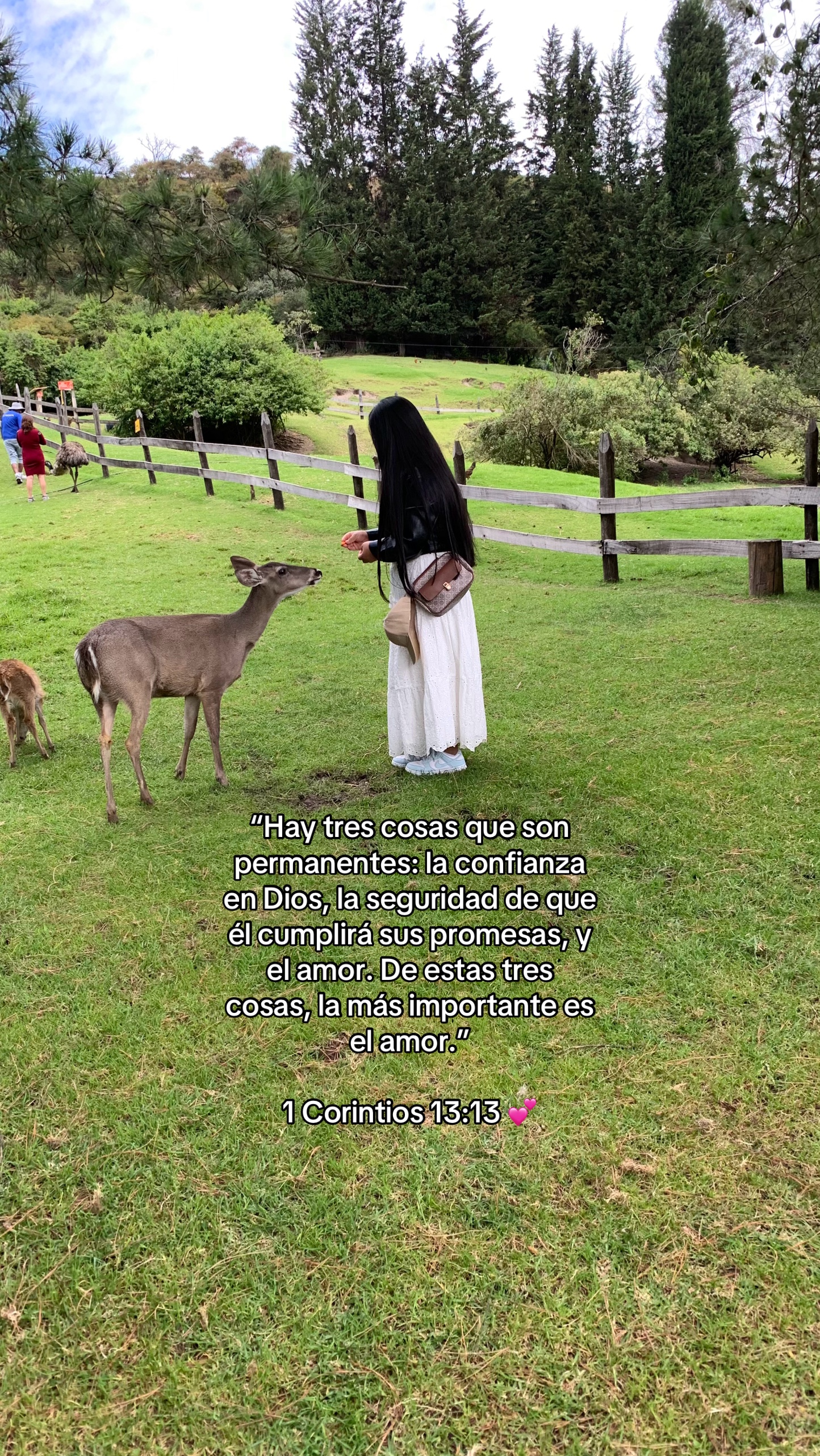 @𝓔𝓿𝓮𝓵𝔂𝓷🌷