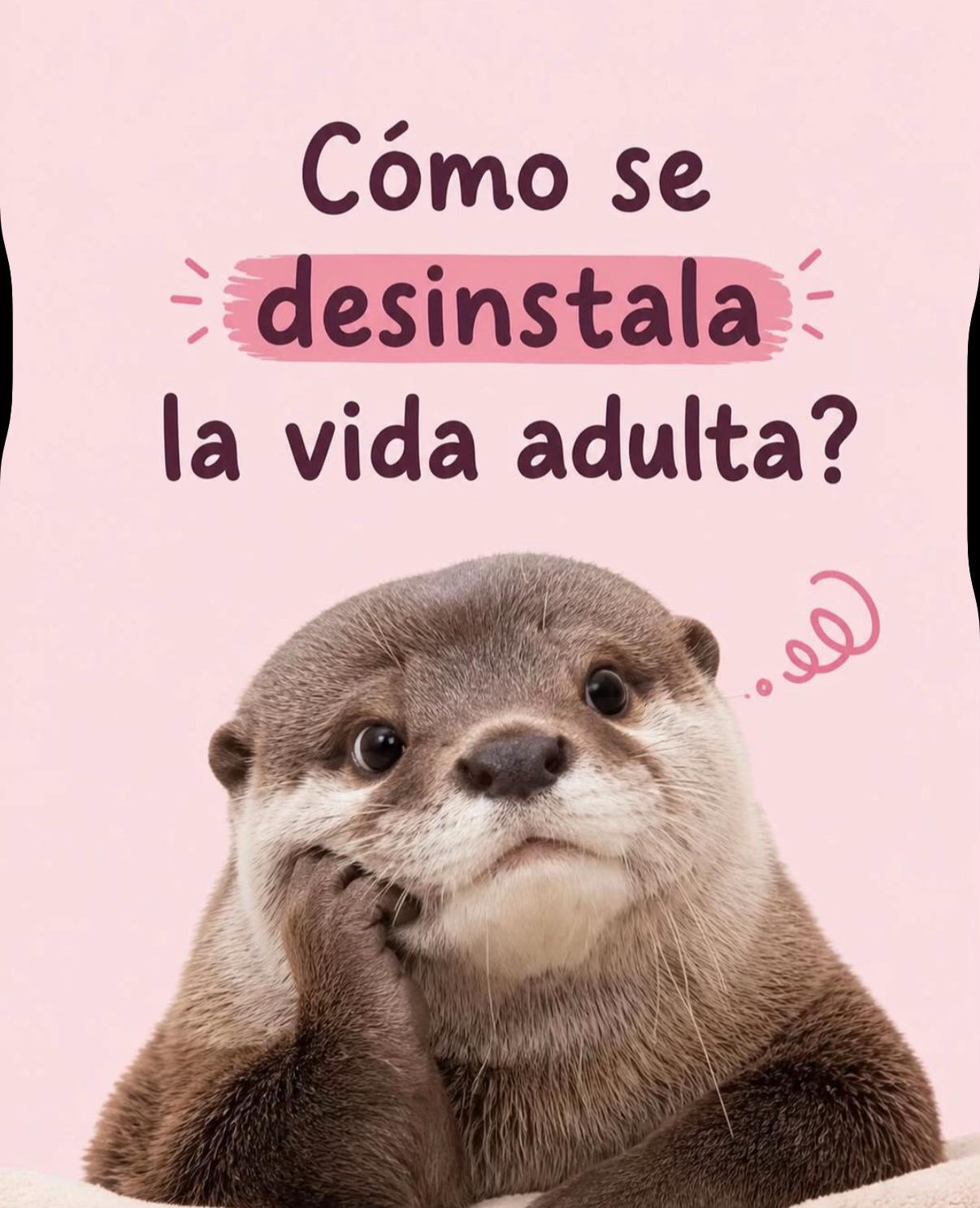 @nancy.lu.mexico. CDT
