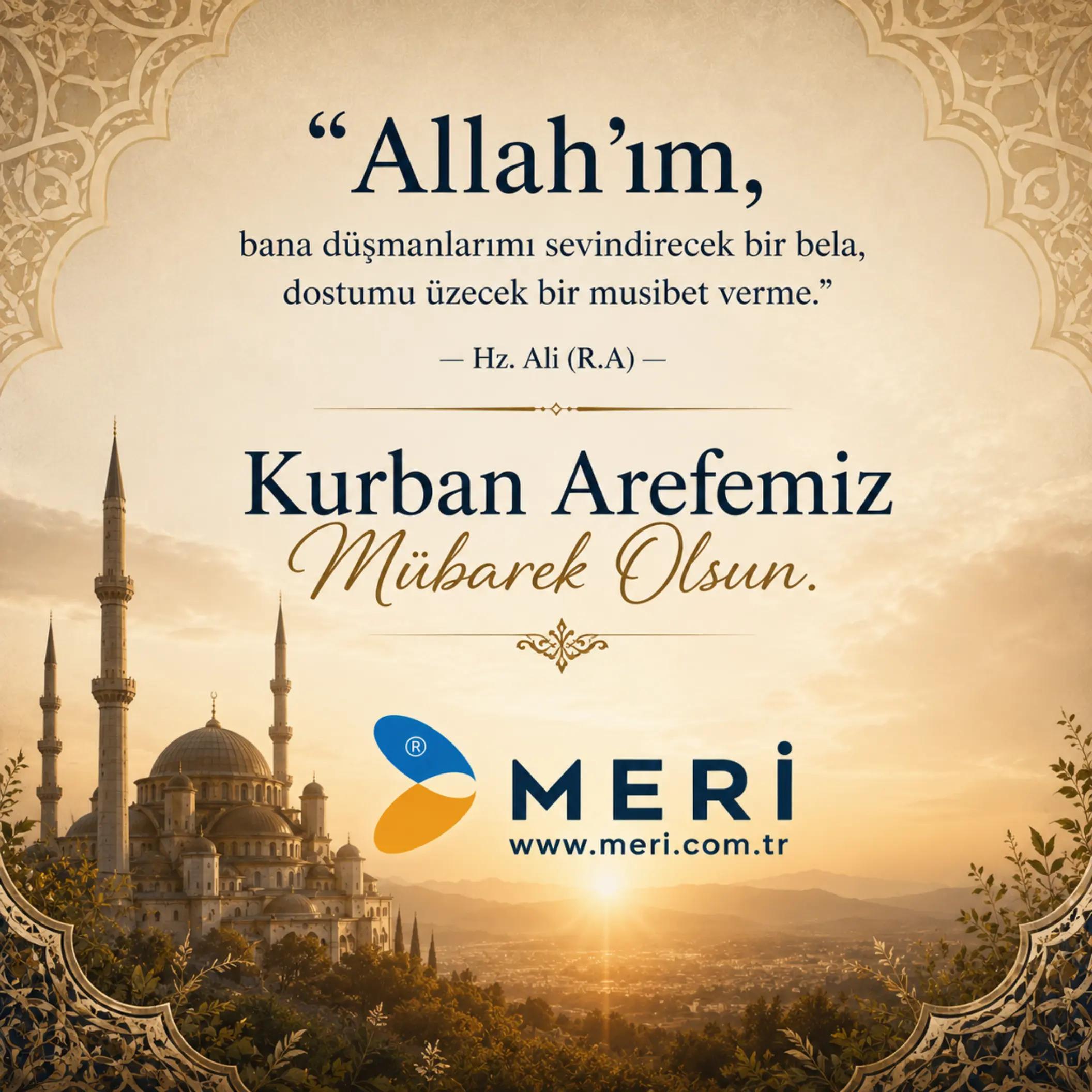 @Meri Sineklik İsmail Kurt