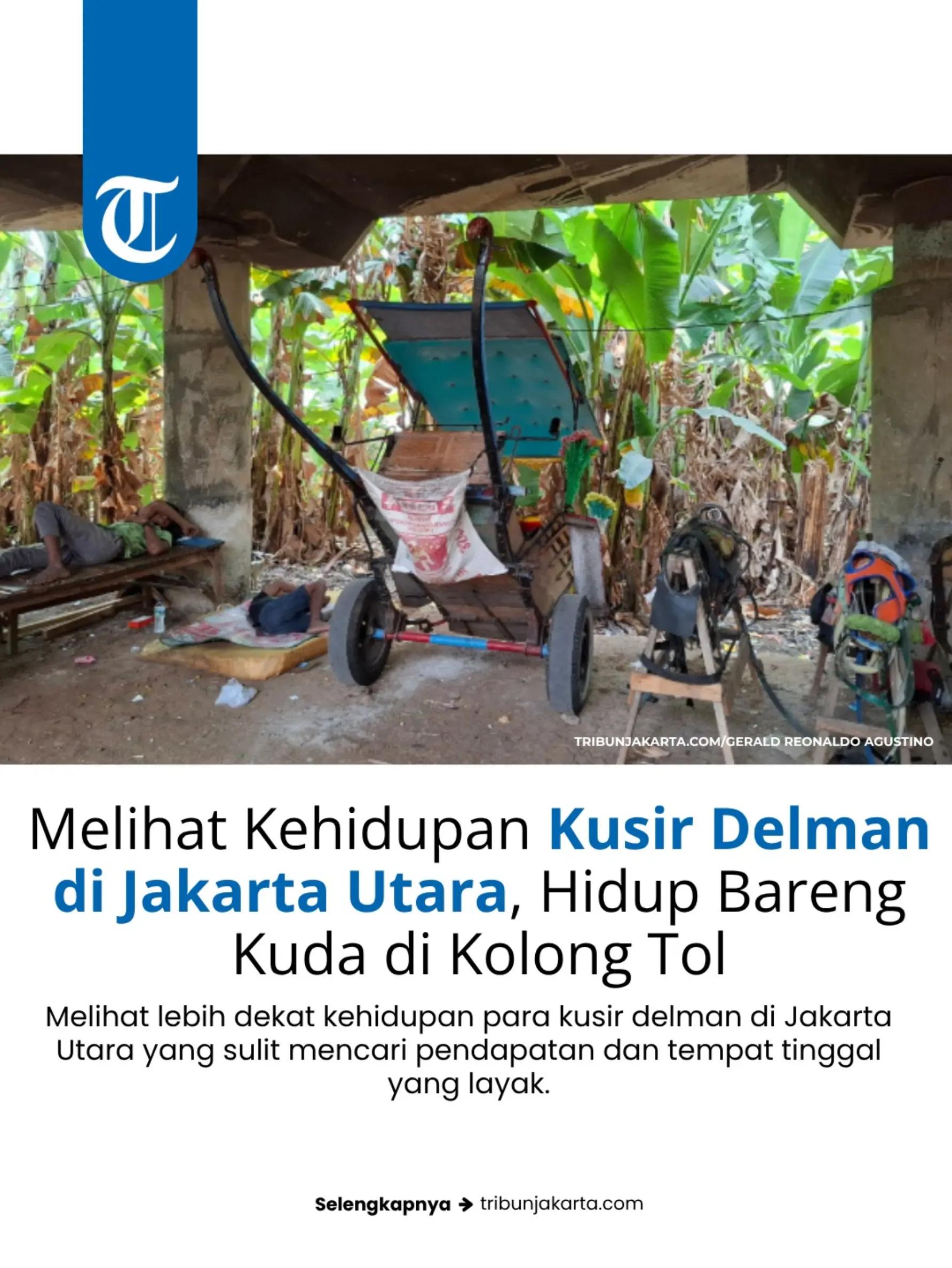 @Tribun Jakarta Official
