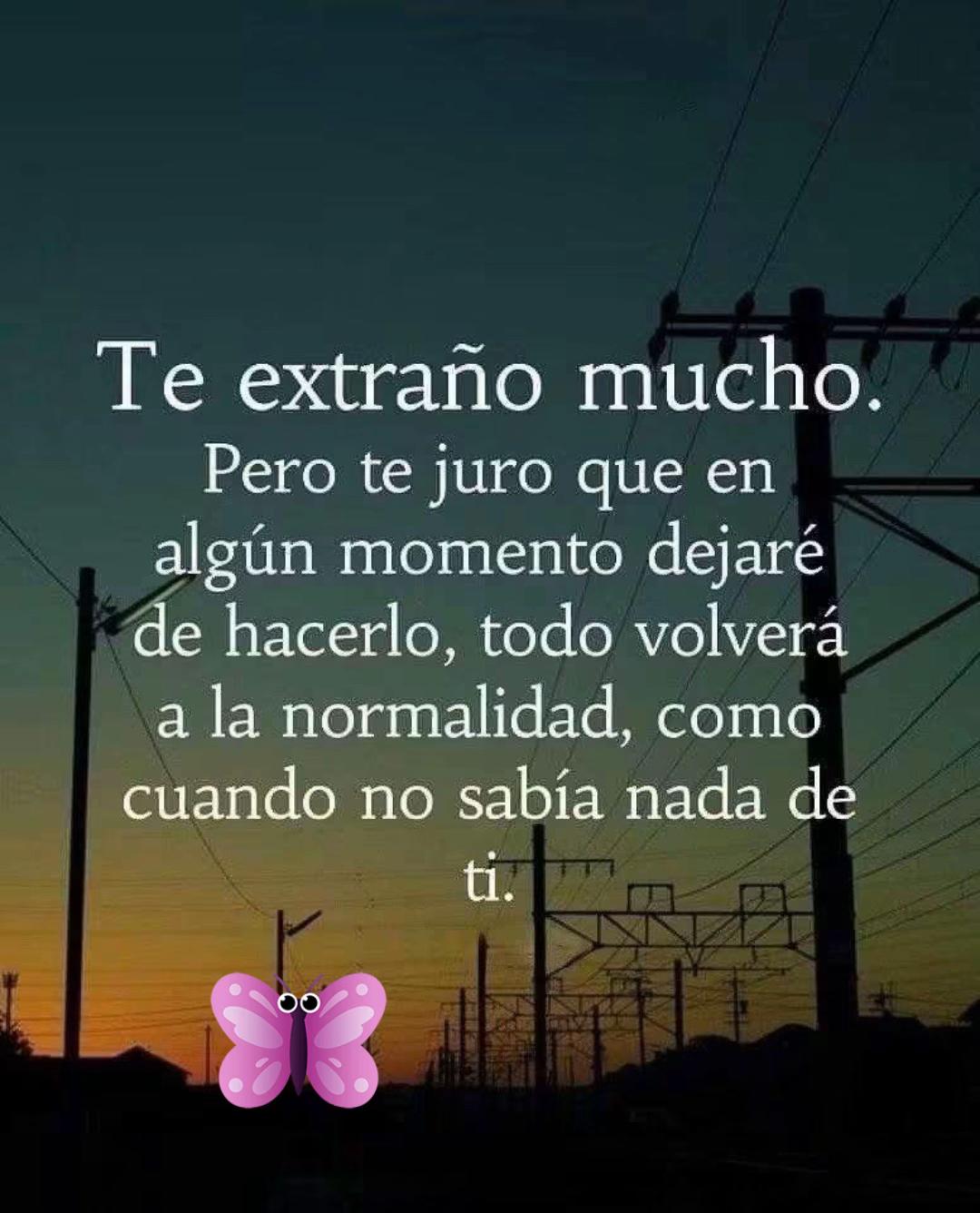 @Veronica Esperanza L