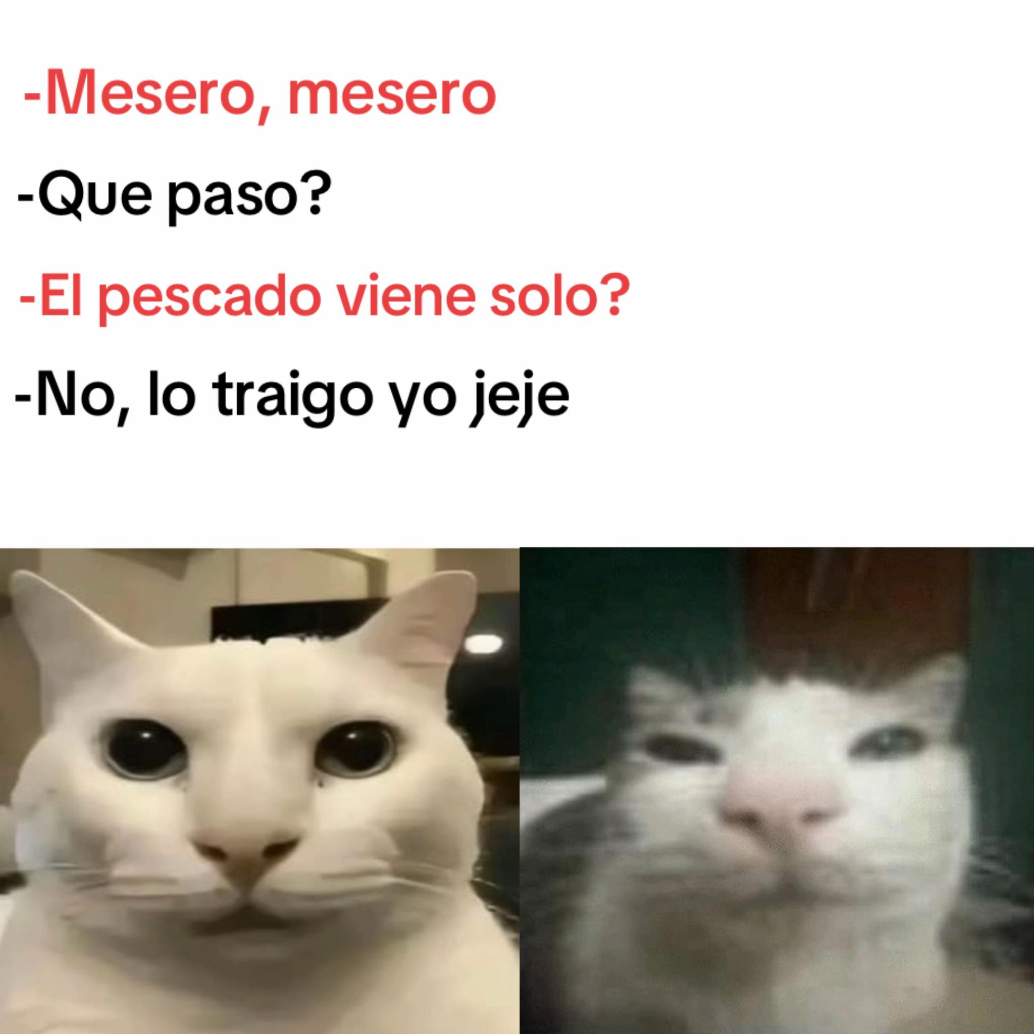 @momazosnegromarronjeje