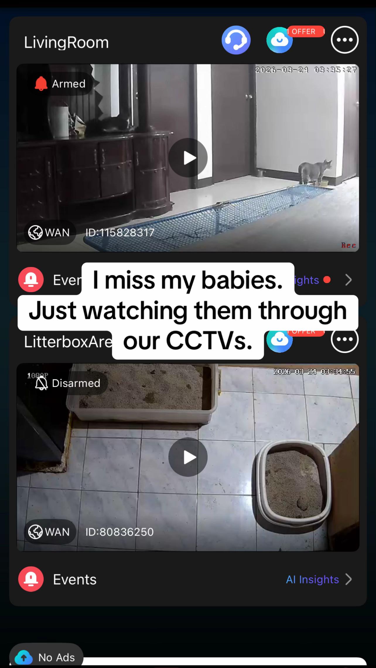 @17meows