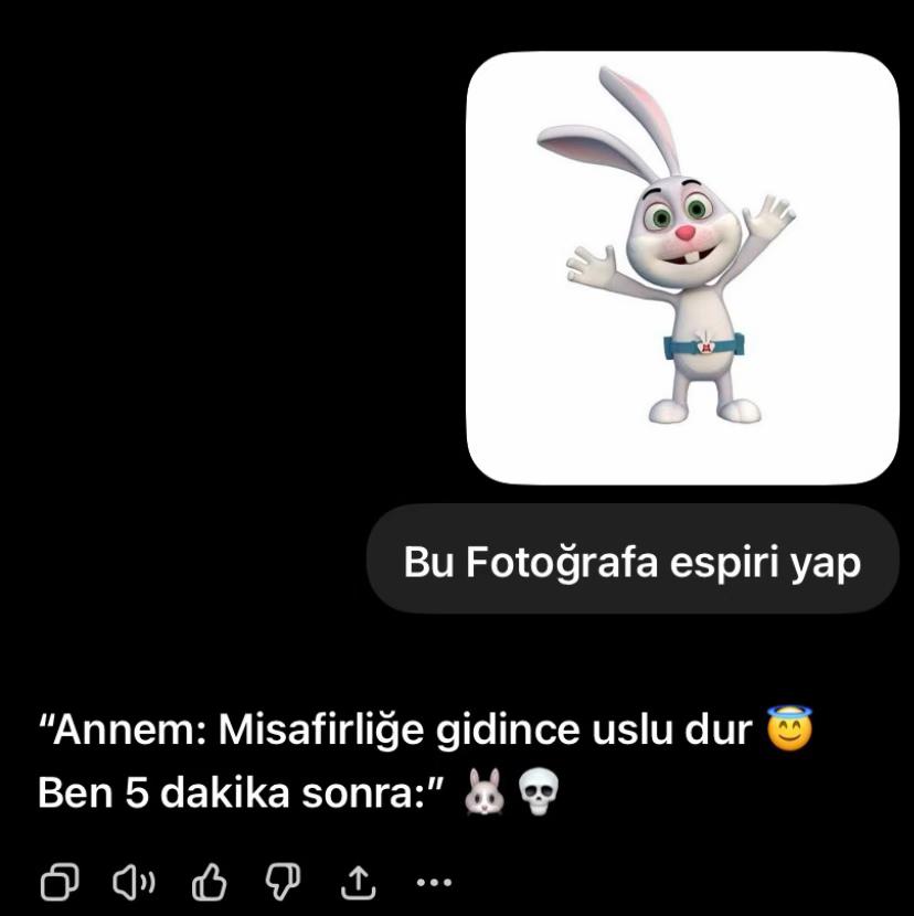 @tavsan_momo123