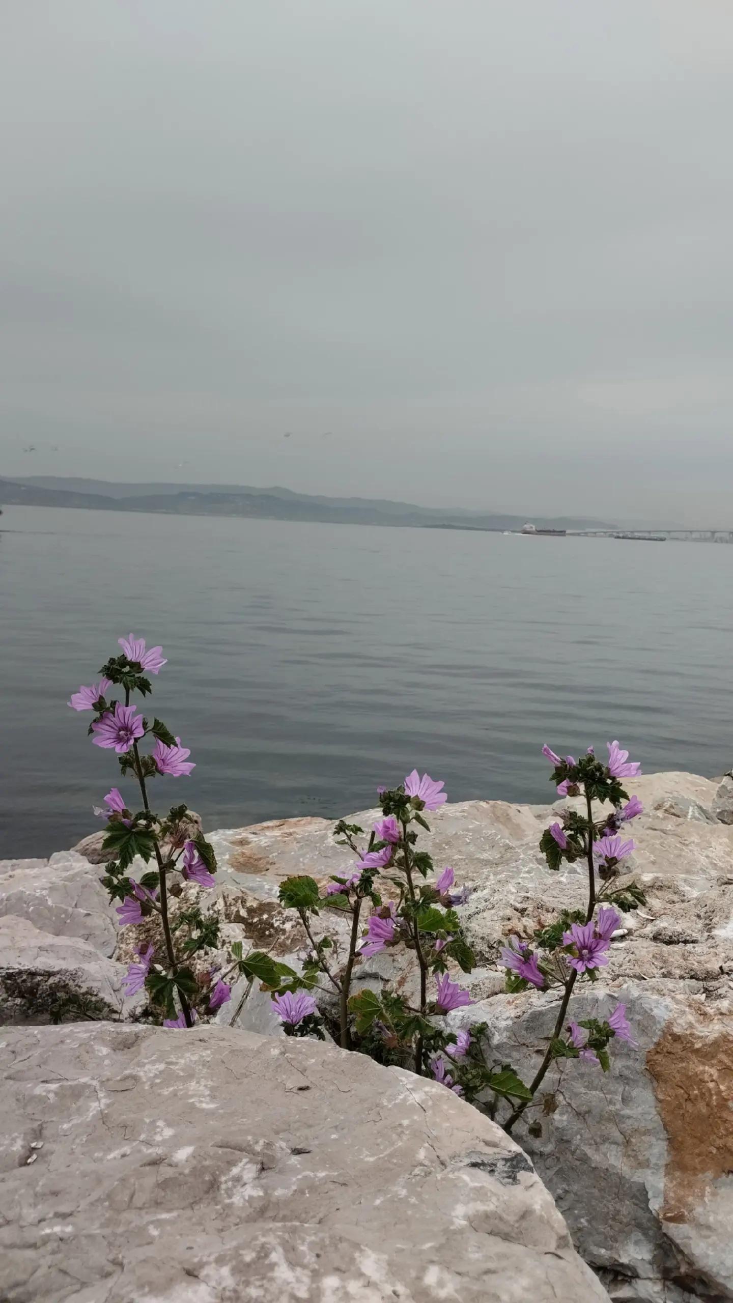 @hacerin mutfağı