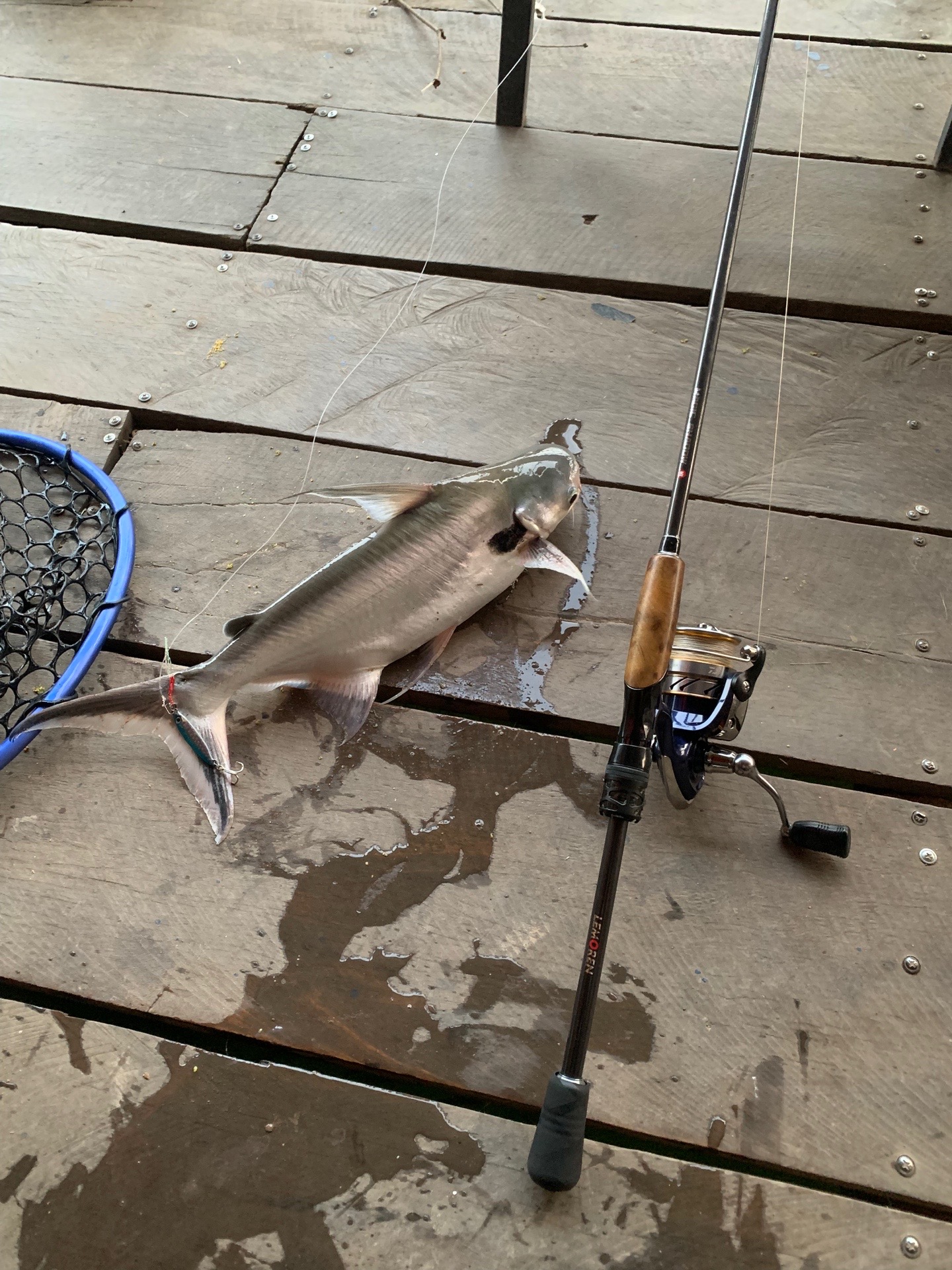 @Dara Fishing(KH)