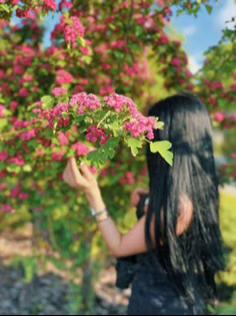 @๐ข๐ฌ๐ช๐ป๐น๐ฒ๐ท๐ด๐ช_๐ค๐ฆ