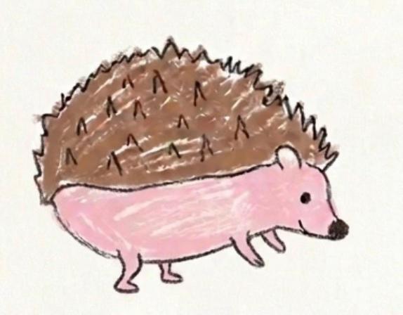 @我が家のハリネズミ🦔