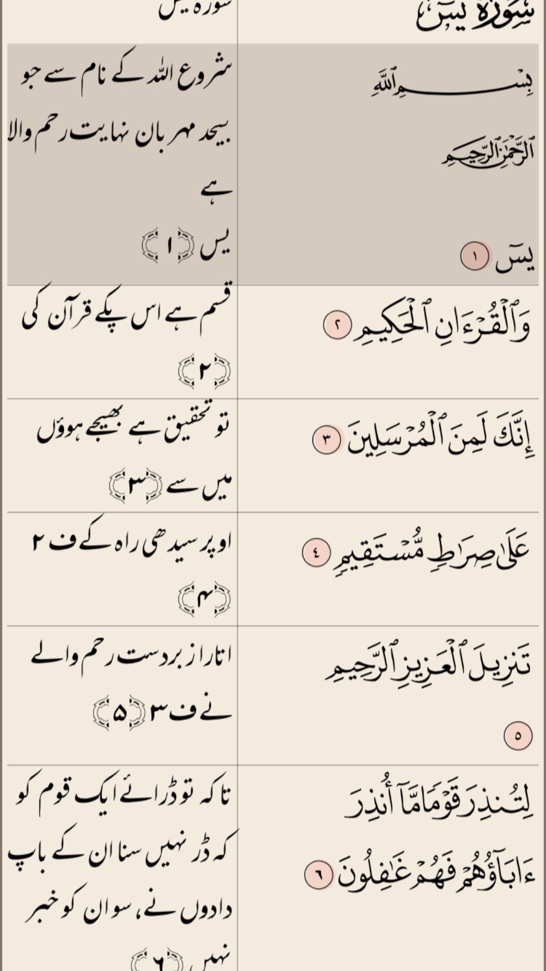 @Faizan ghafoor