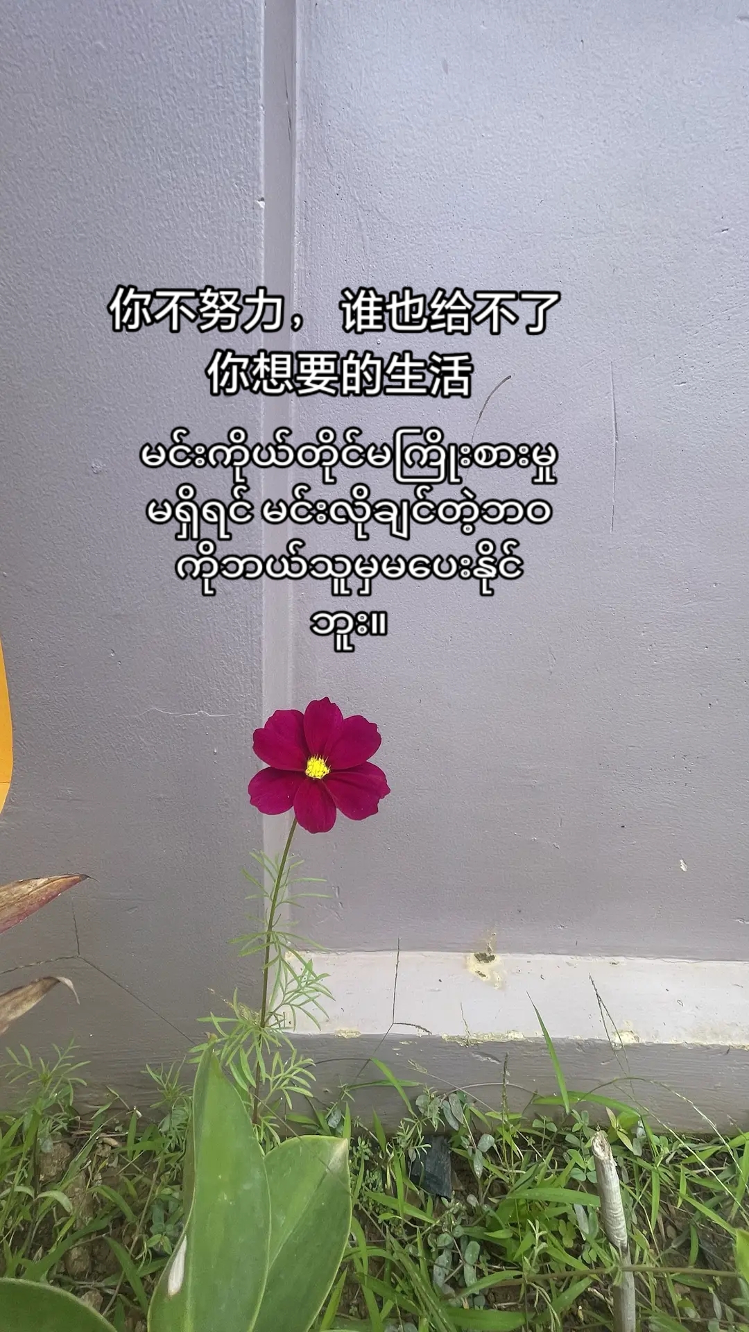 @J.Z诺诺🎂🍰09690658095